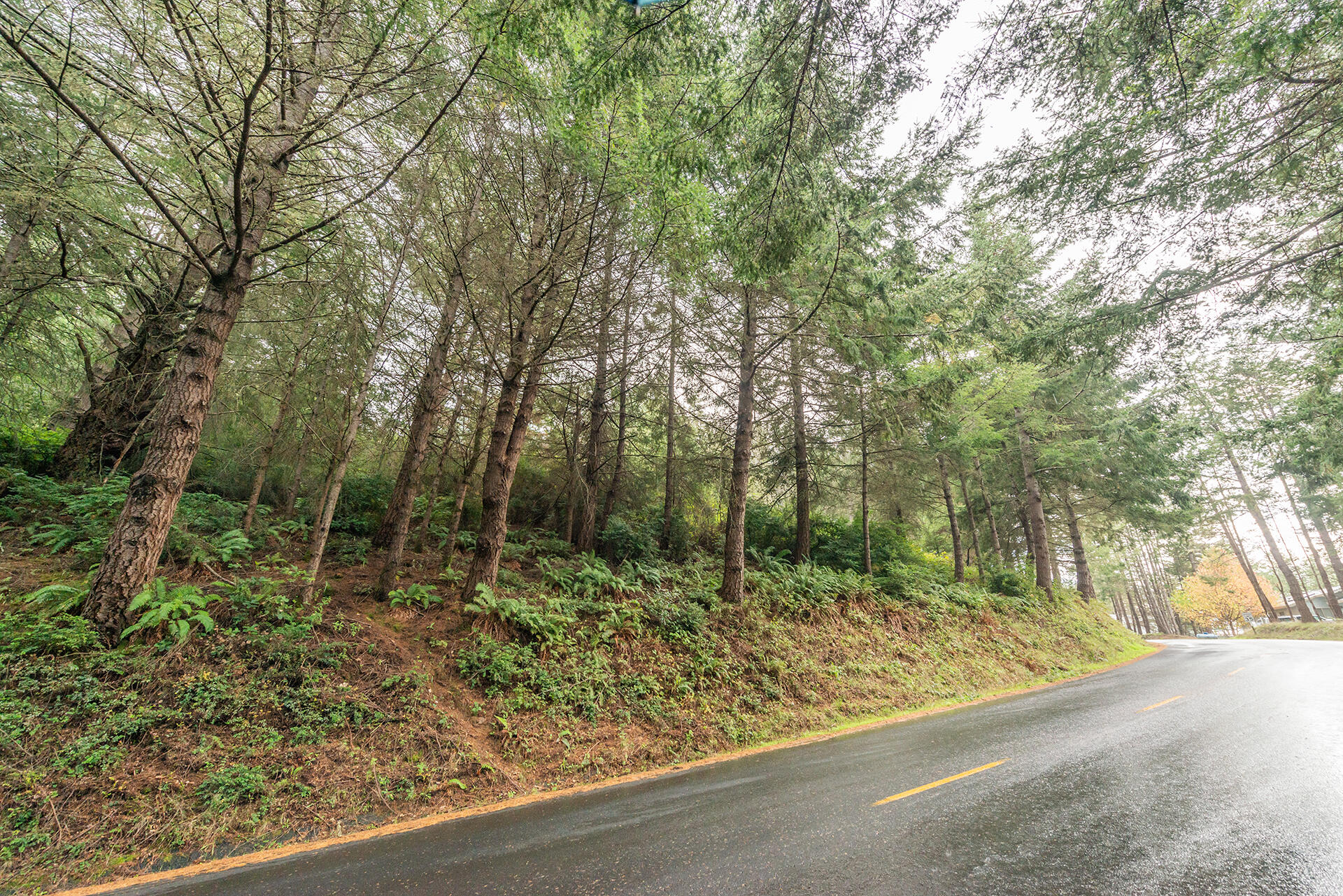 694 Upper Pacific Drive