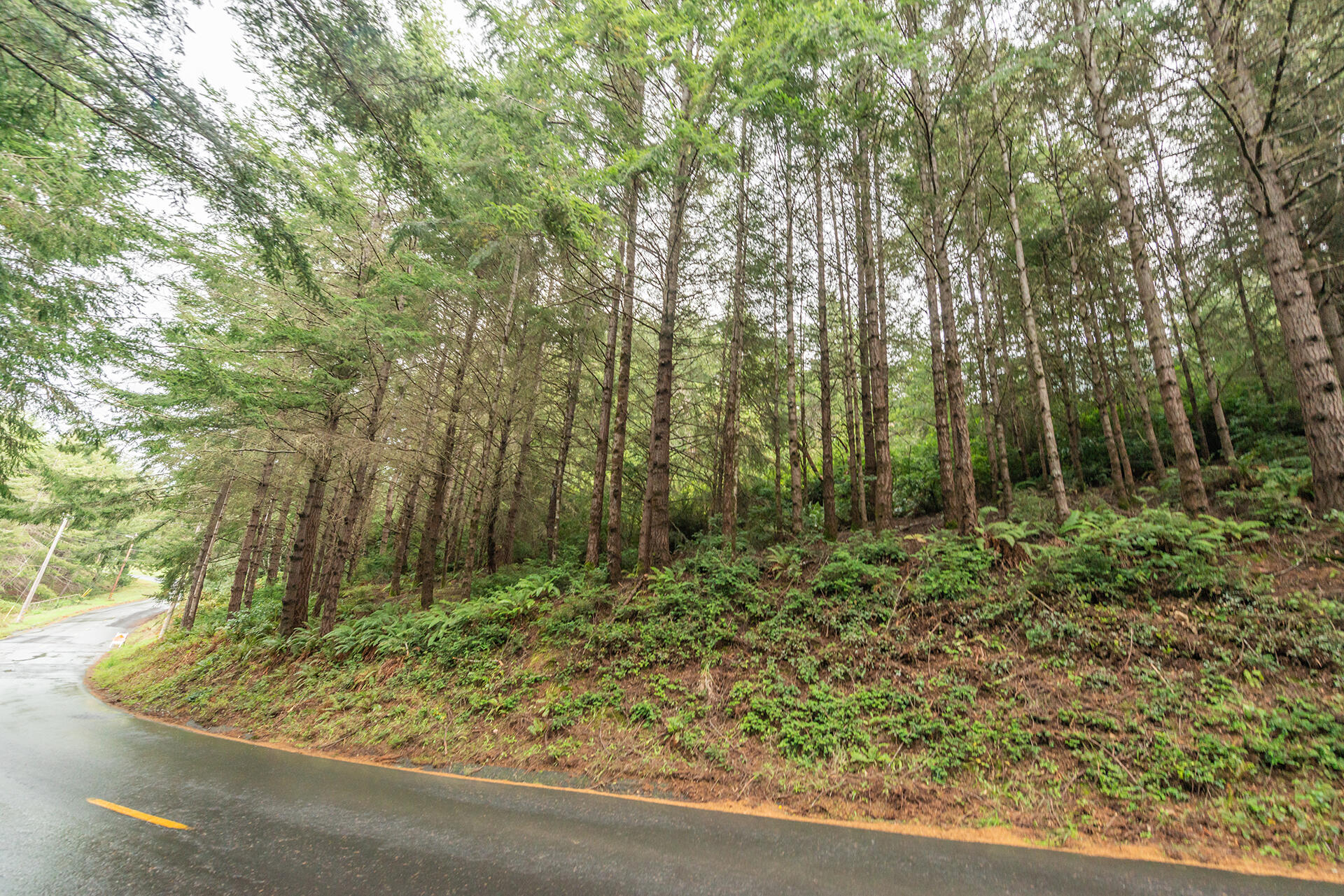 694 Upper Pacific Drive