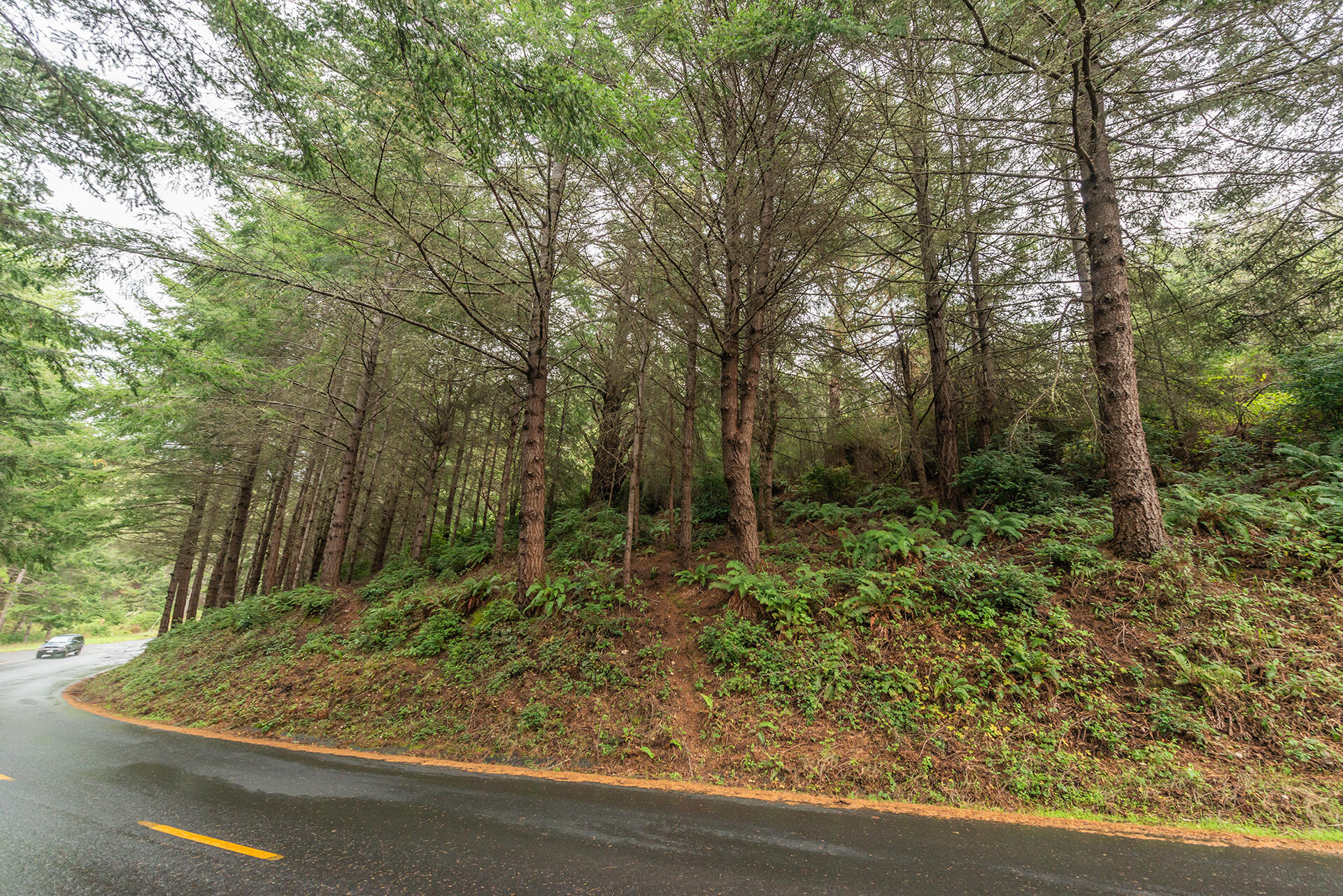 694 Upper Pacific Drive