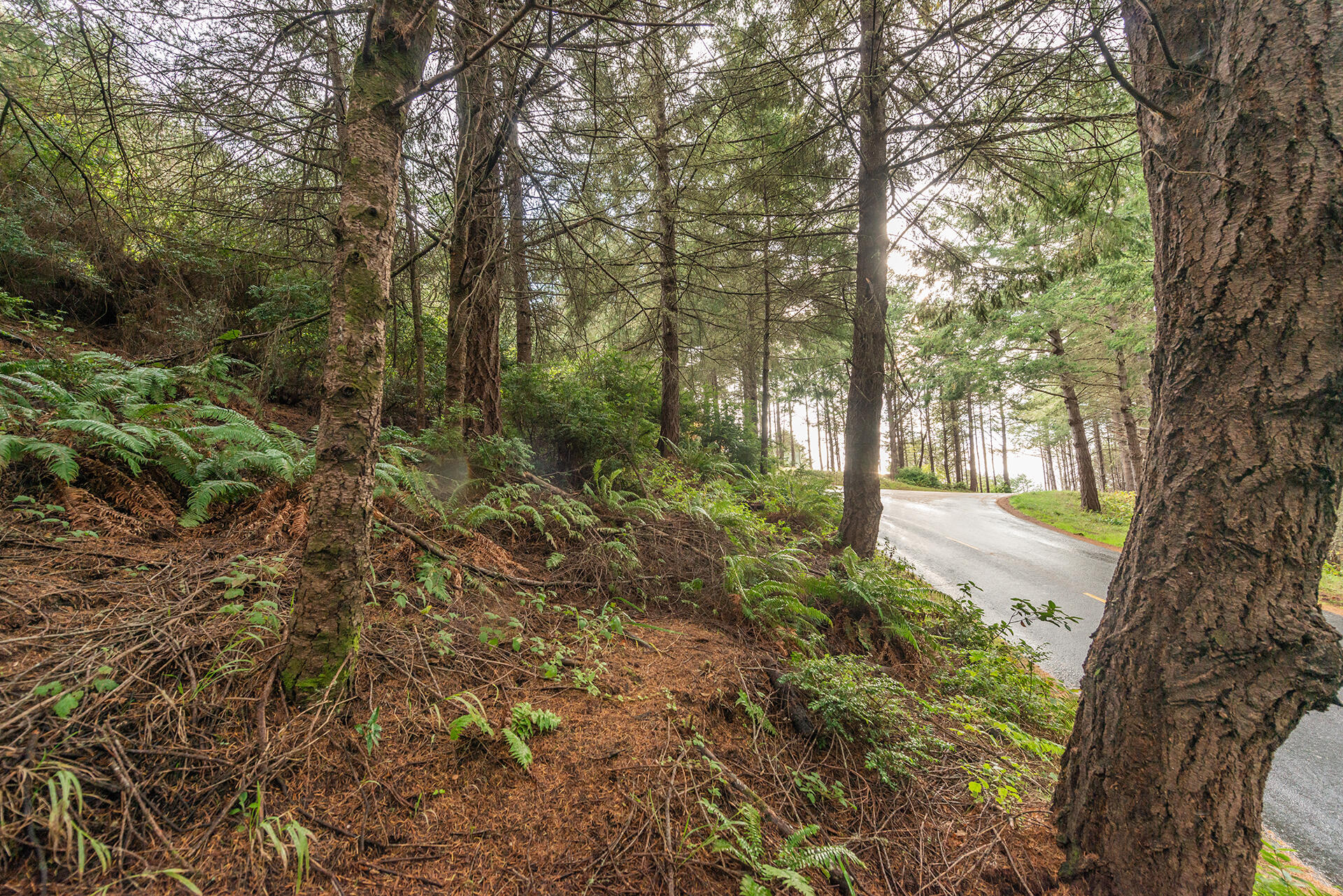 694 Upper Pacific Drive