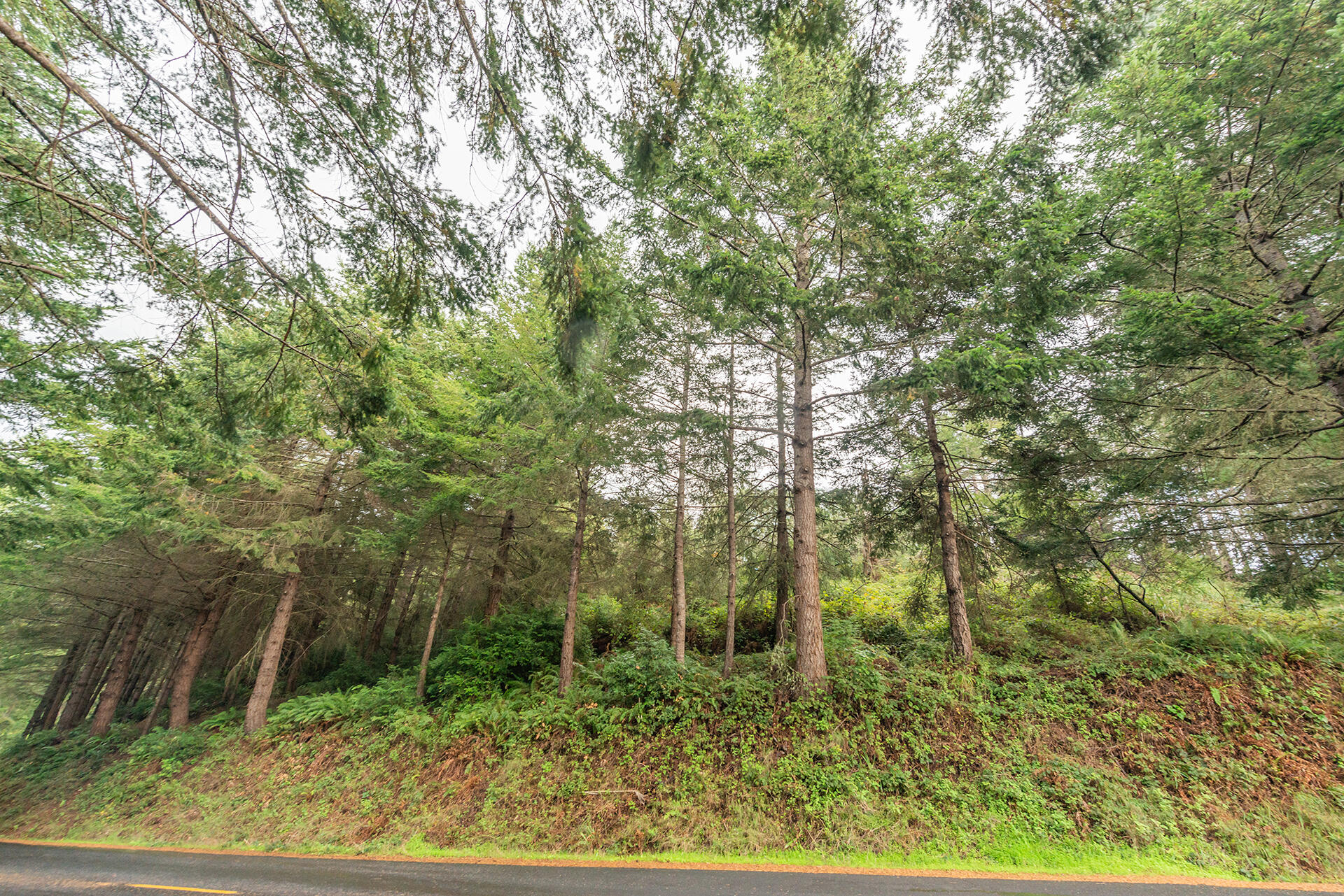 710 Upper Pacific Drive