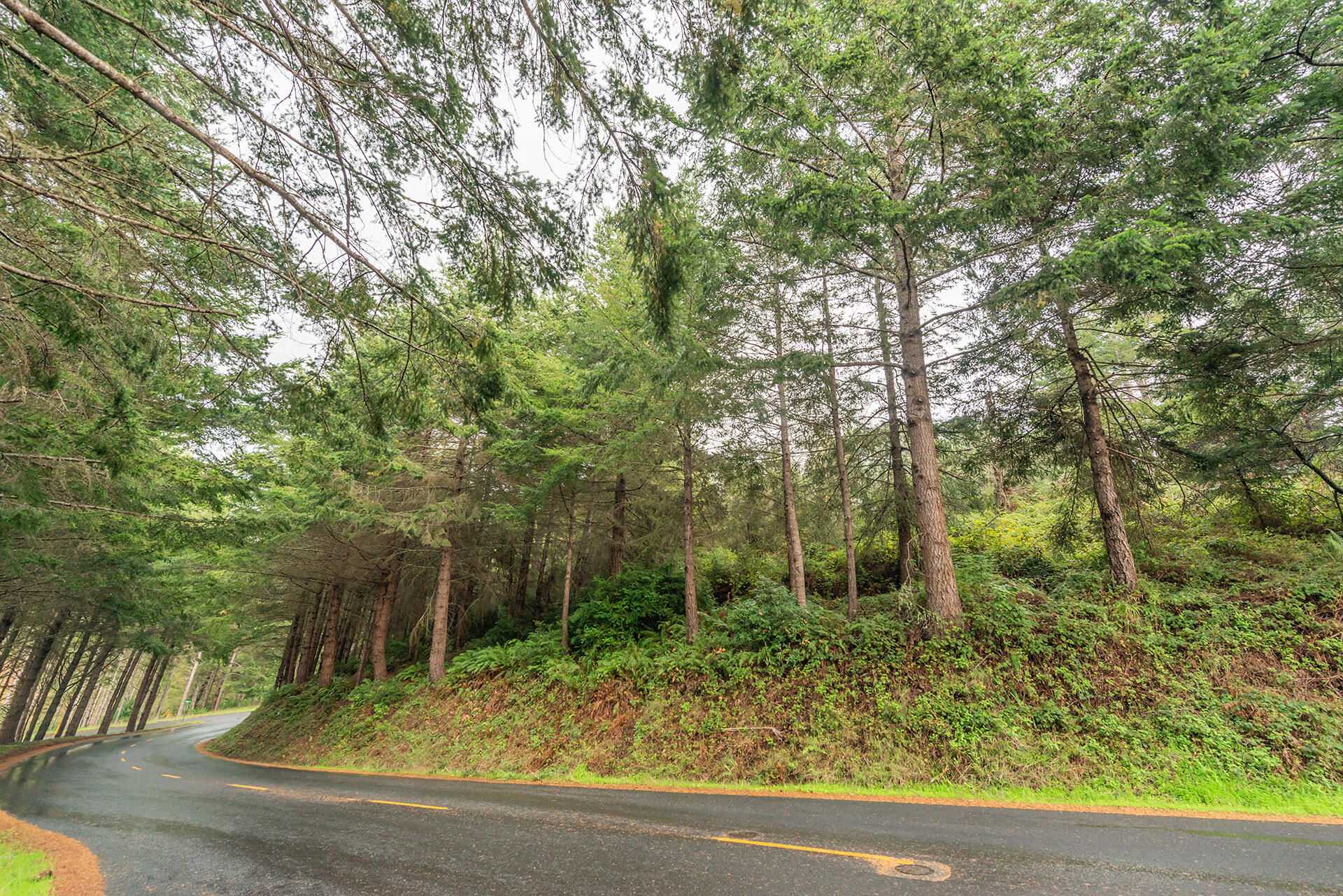 710 Upper Pacific Drive