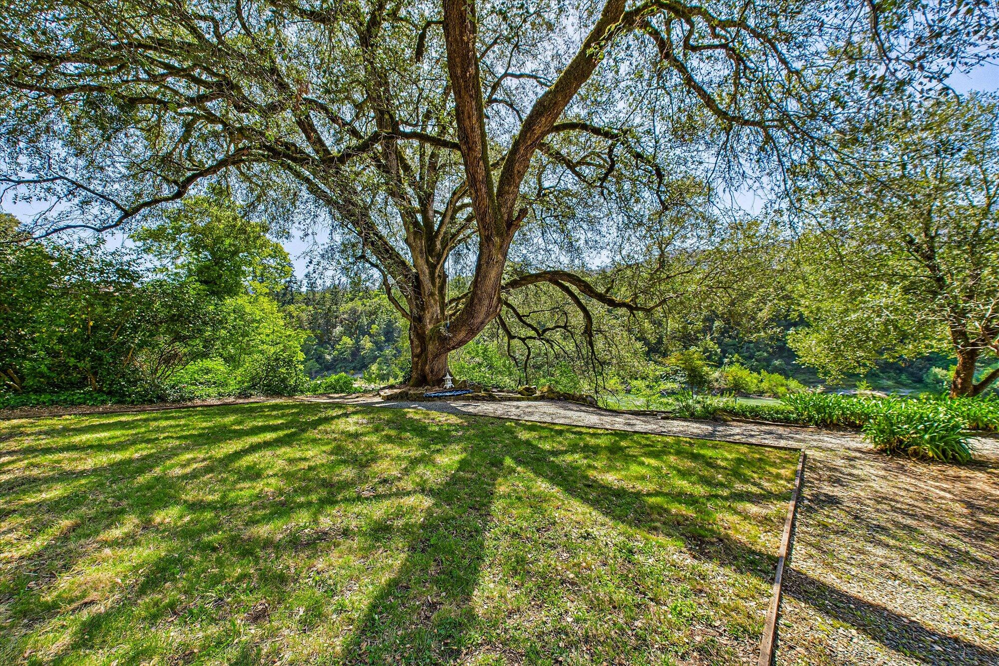 3319 Campbell Ridge Road