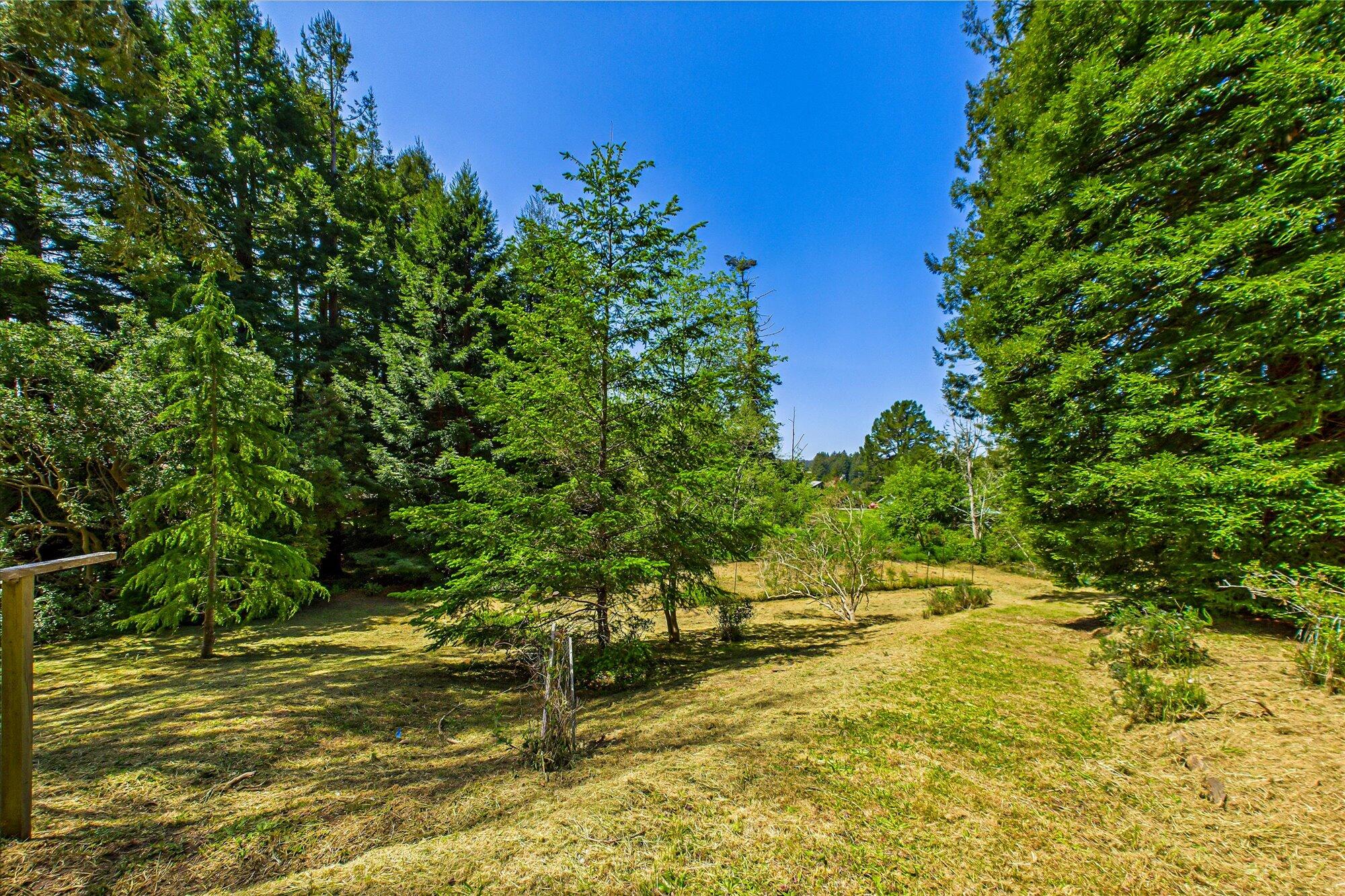3472 Mitchell Heights Drive