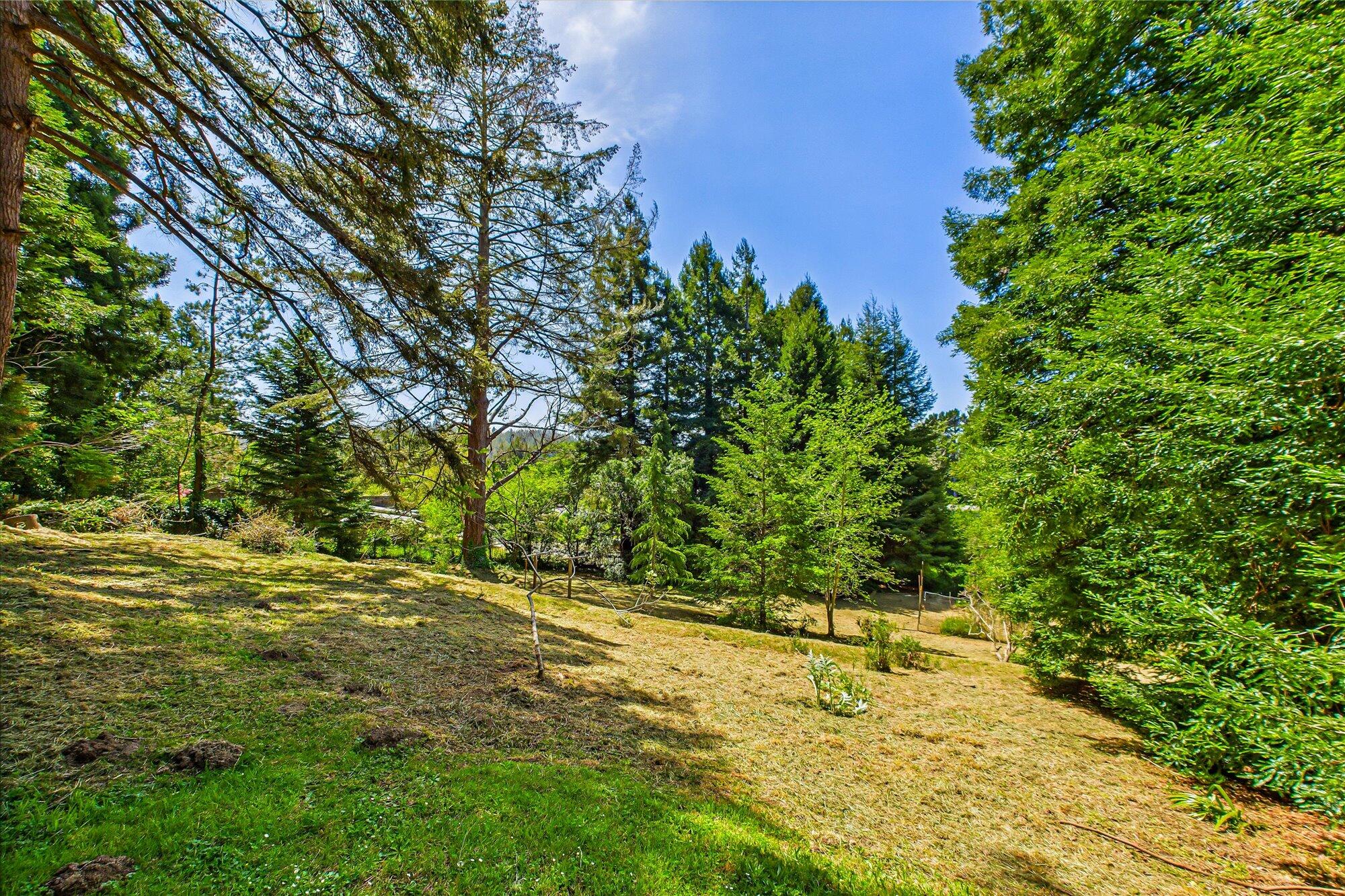 3472 Mitchell Heights Drive