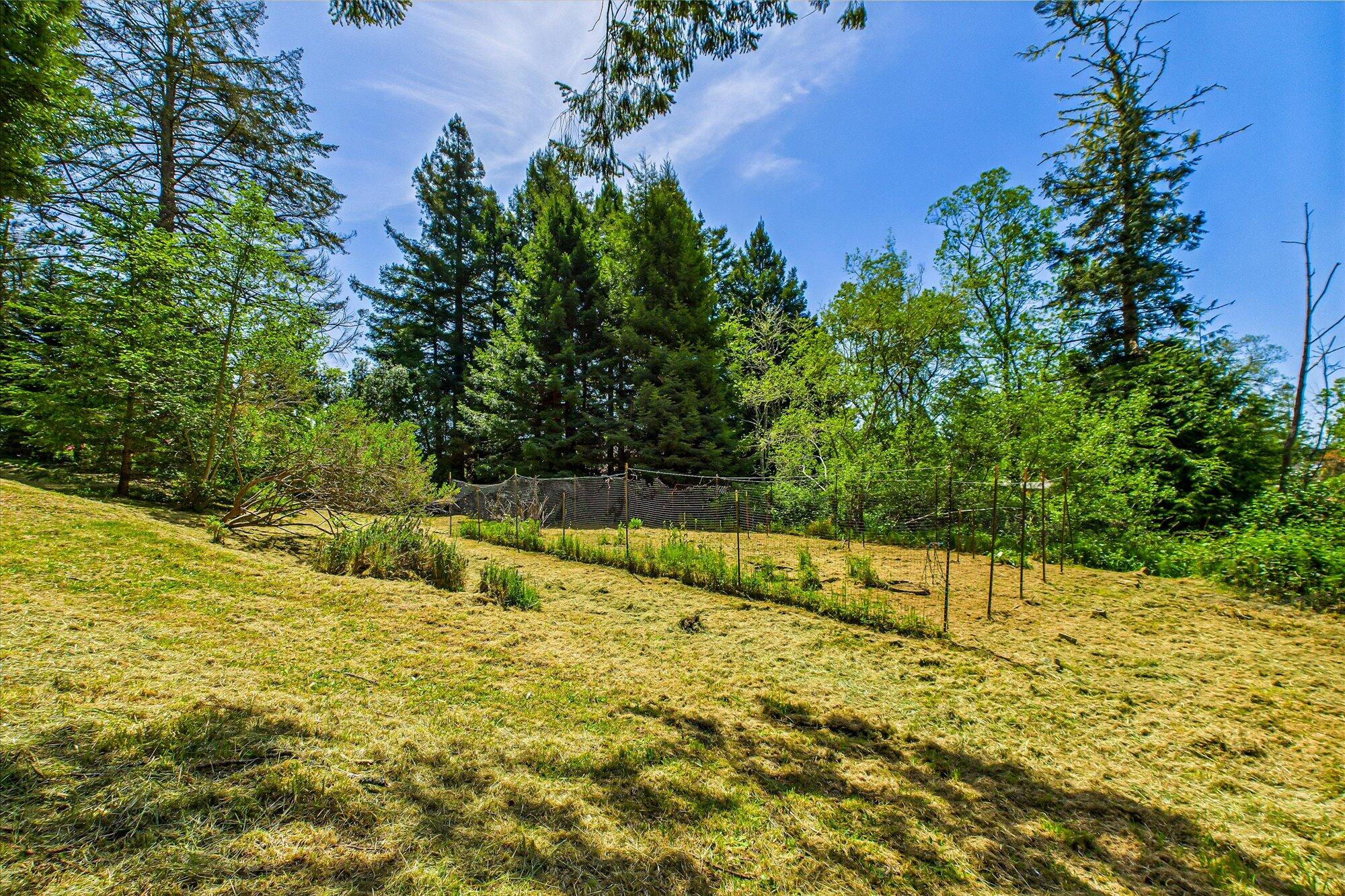 3472 Mitchell Heights Drive