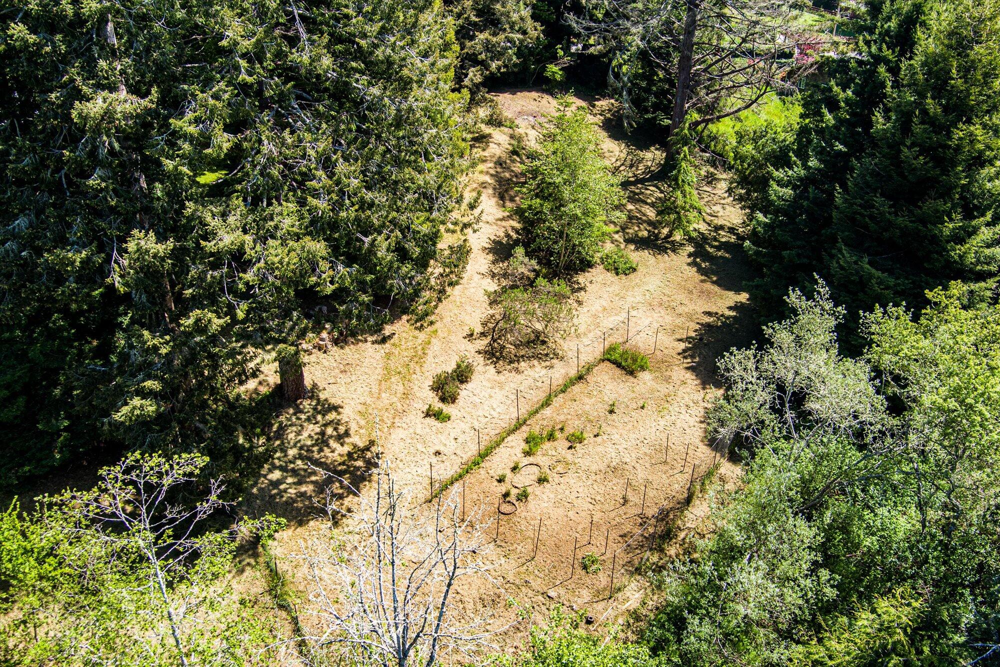 3472 Mitchell Heights Drive