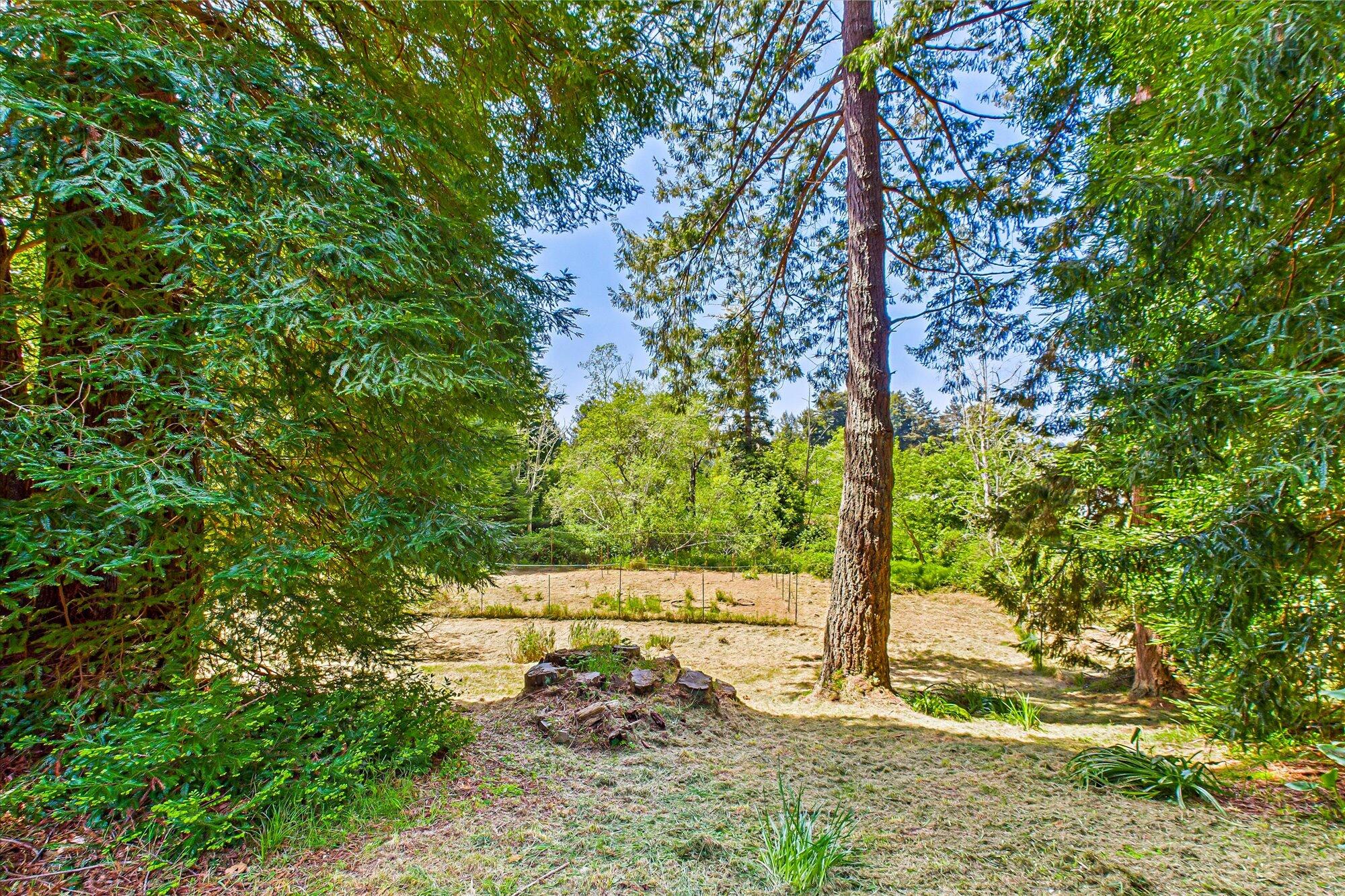 3472 Mitchell Heights Drive