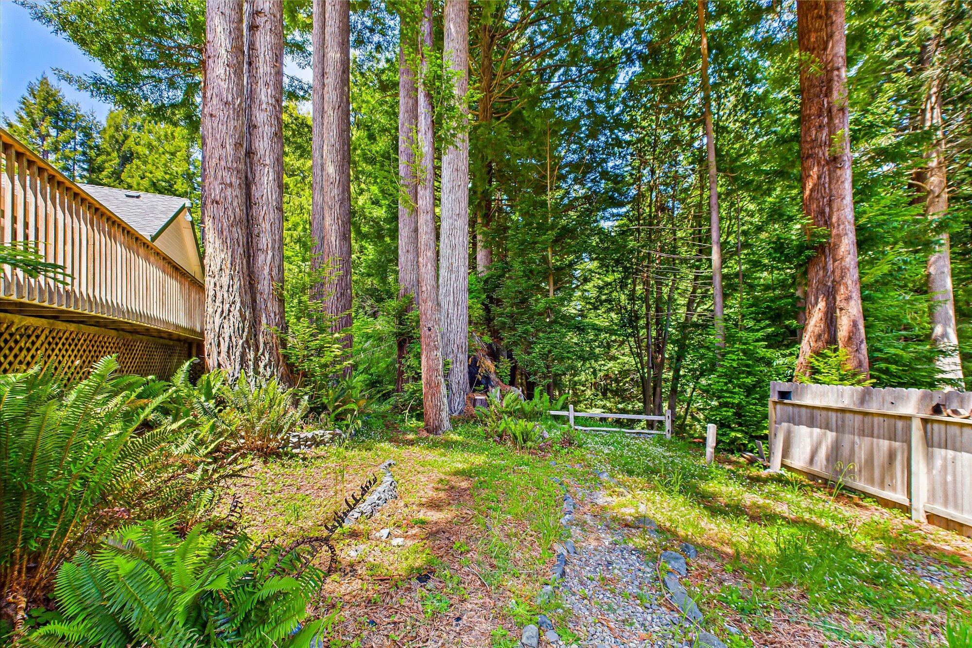 1002 Diamond Drive