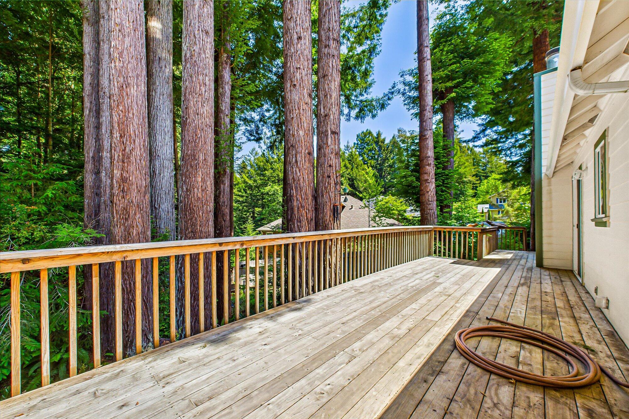 1002 Diamond Drive