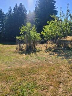 2517 Loop Road