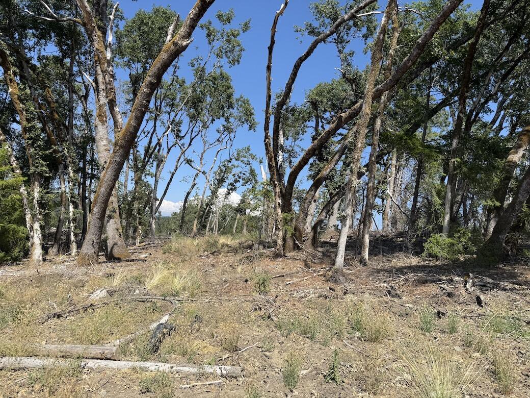 2556 Burr Valley Road