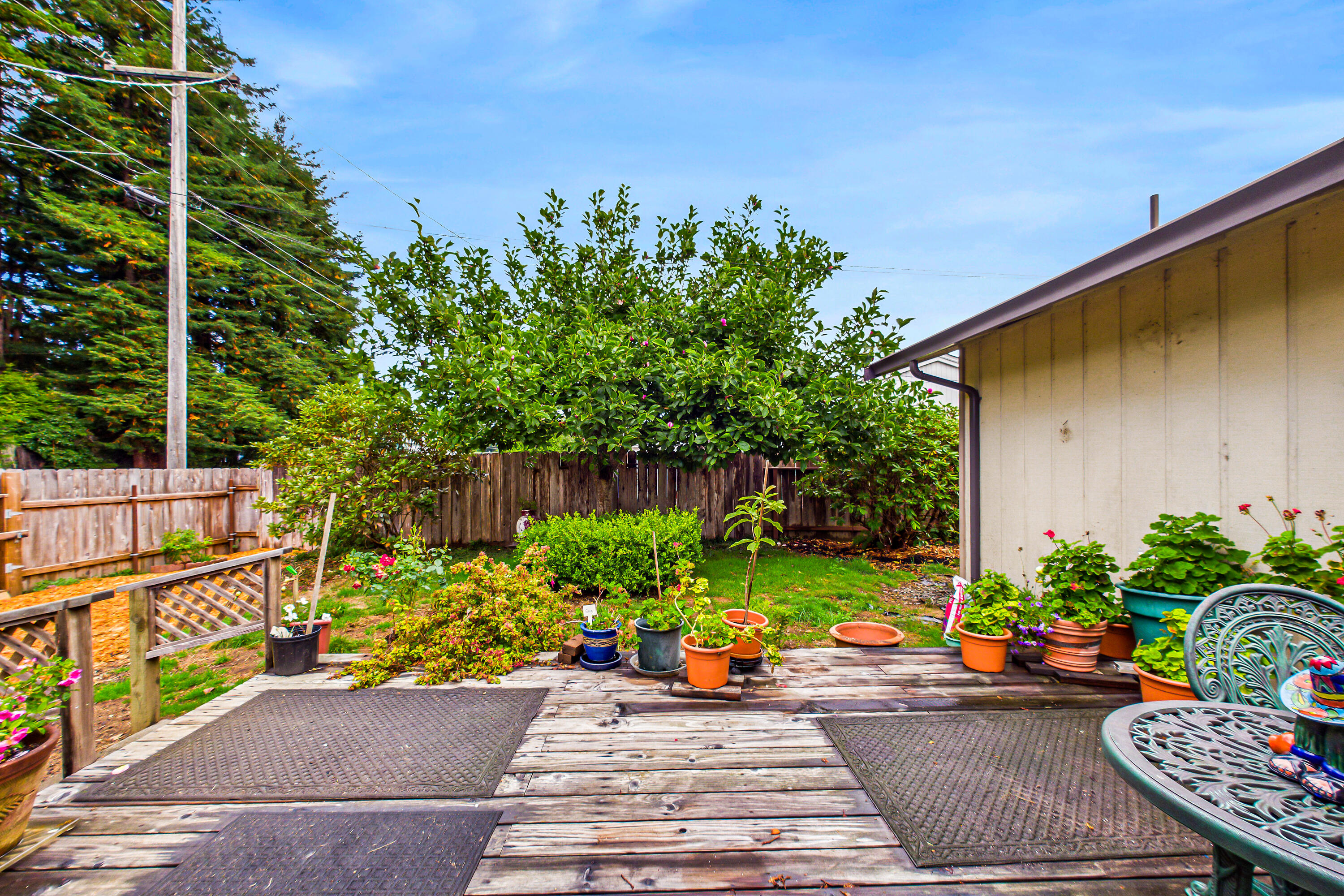 3105 Elk Street