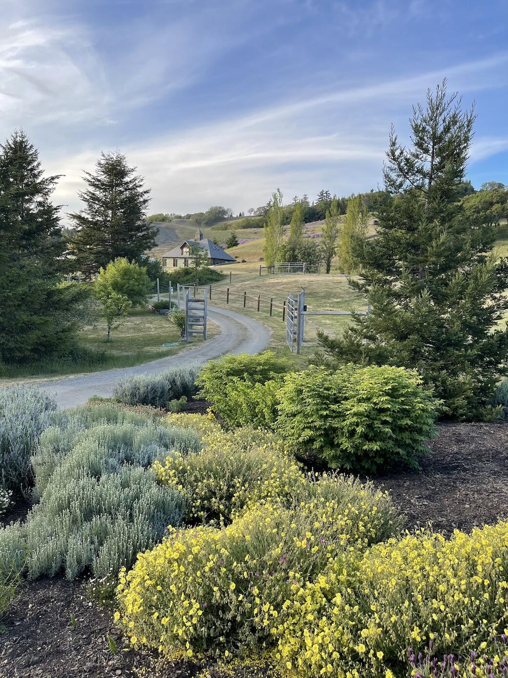 23333a Maple Creek Road