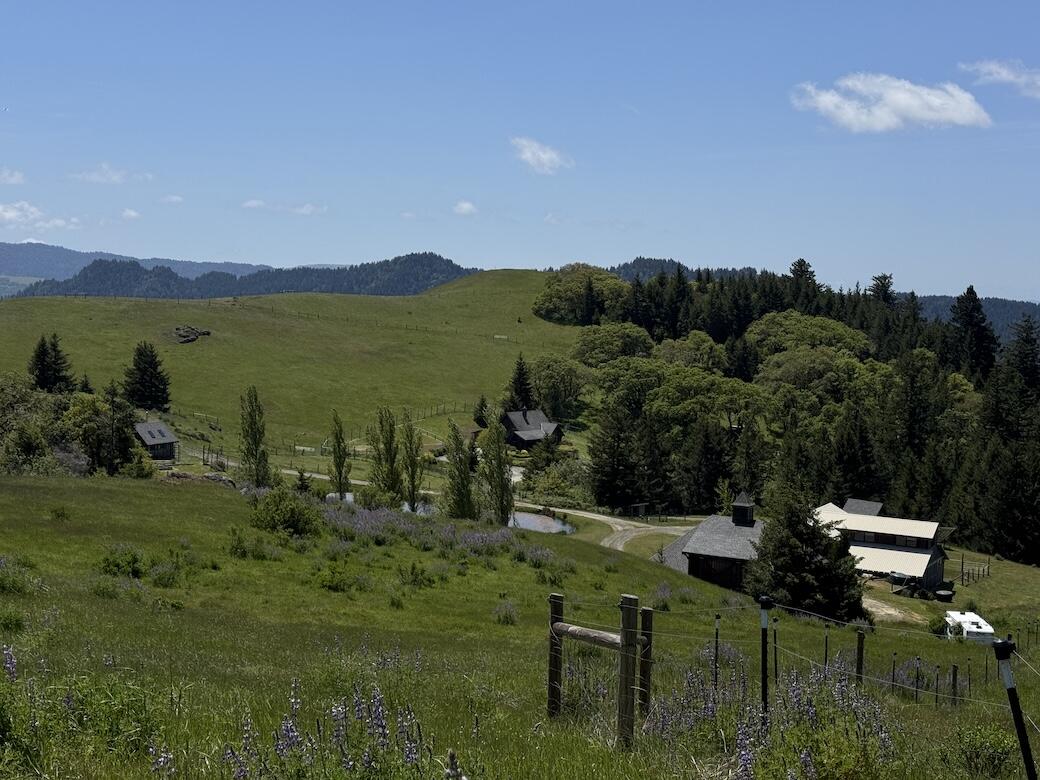 23333a Maple Creek Road
