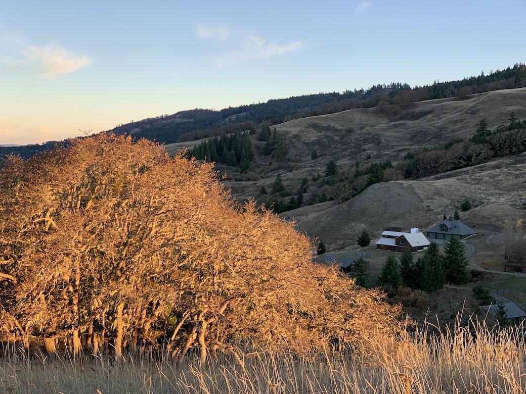 23333a Maple Creek Road