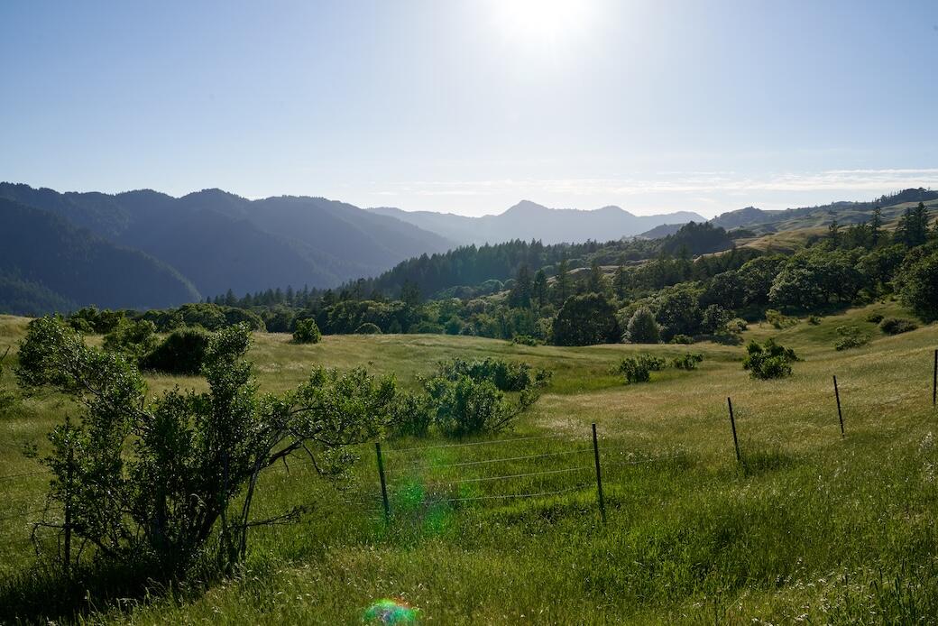 23333a Maple Creek Road