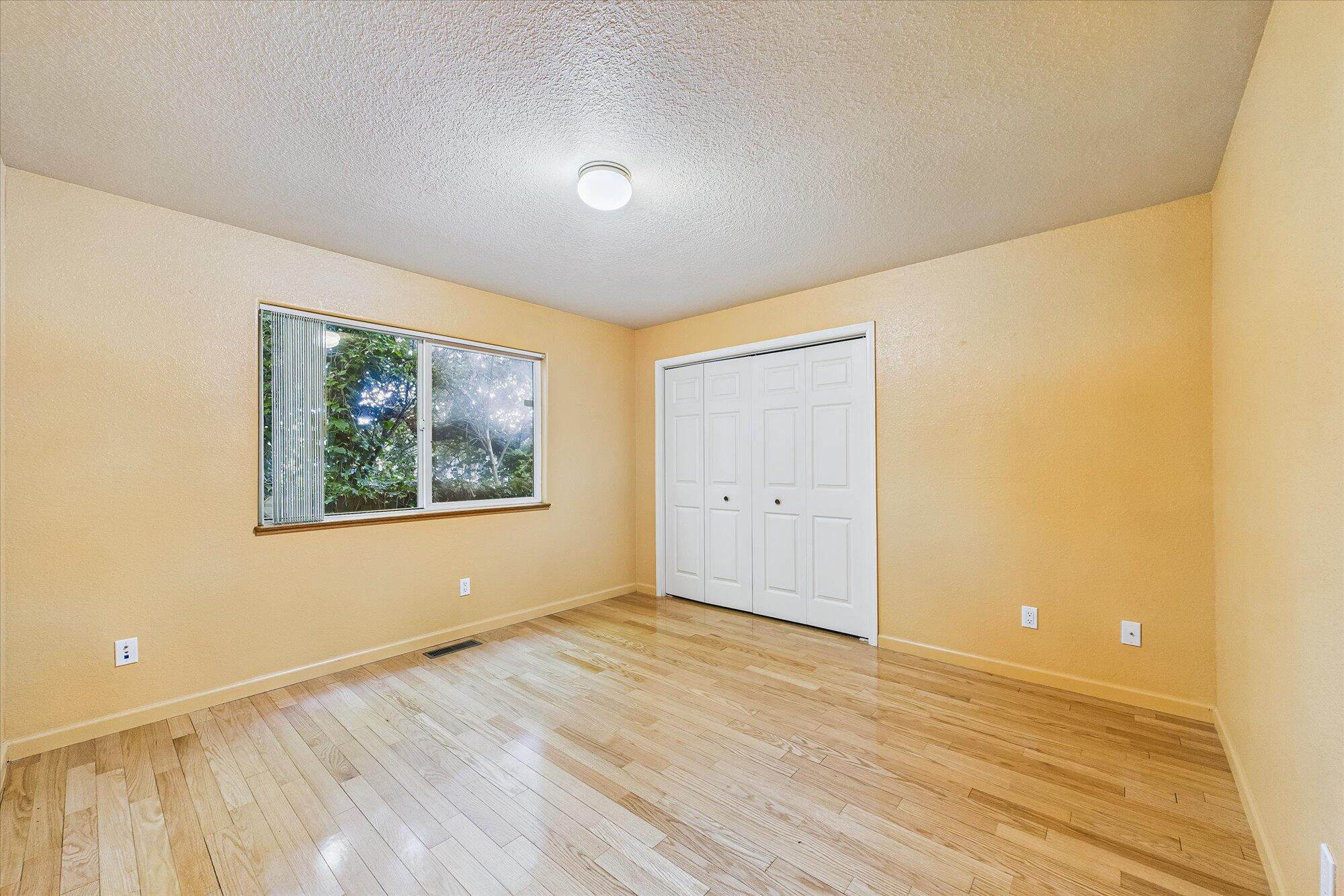 3579 Dolbeer Street