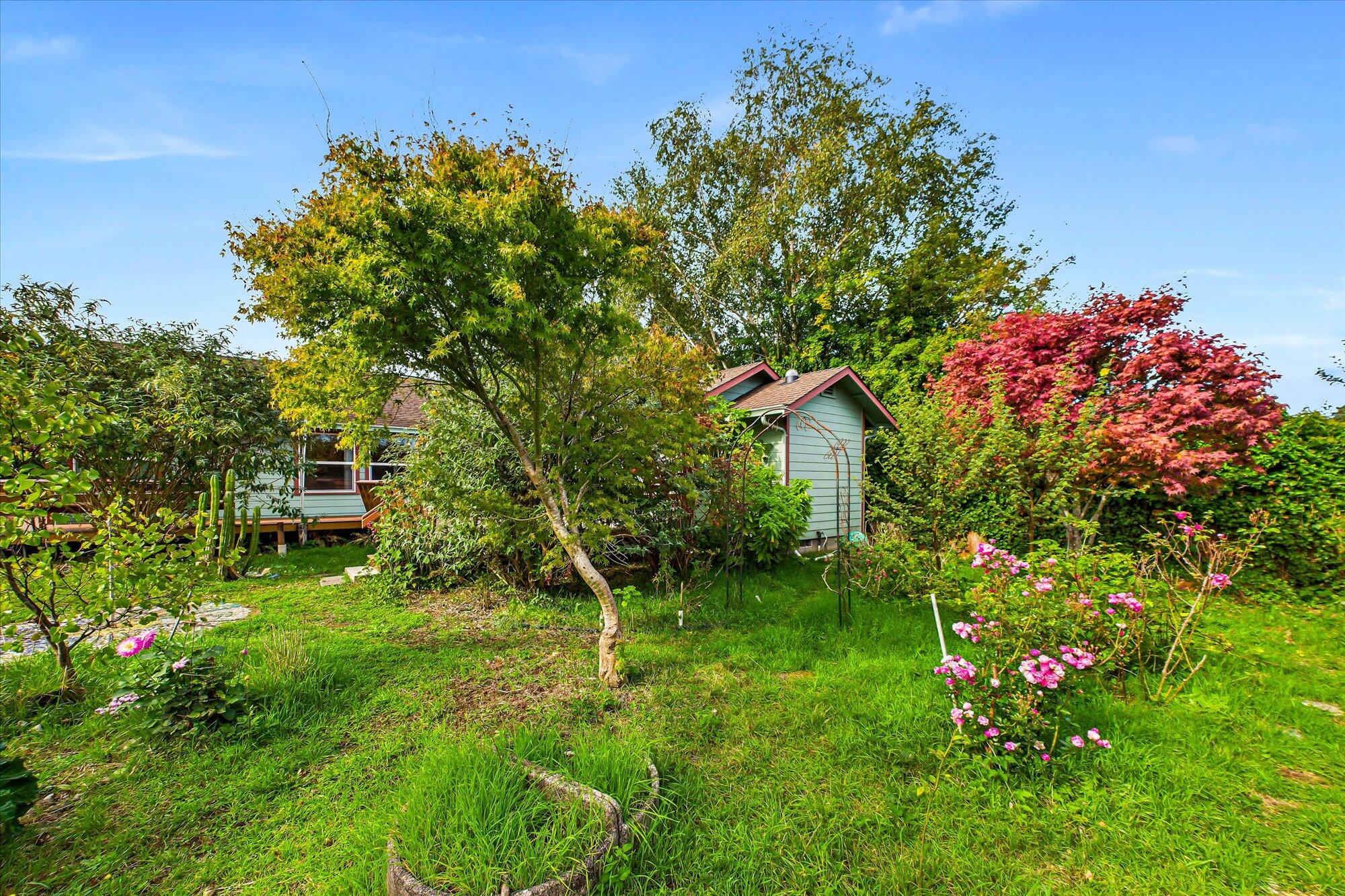 3579 Dolbeer Street