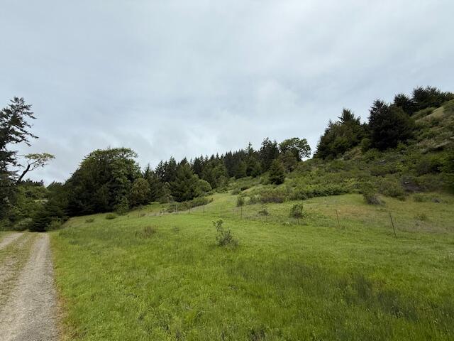 33875 Alderpoint Road