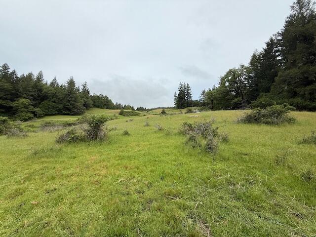 33875 Alderpoint Road