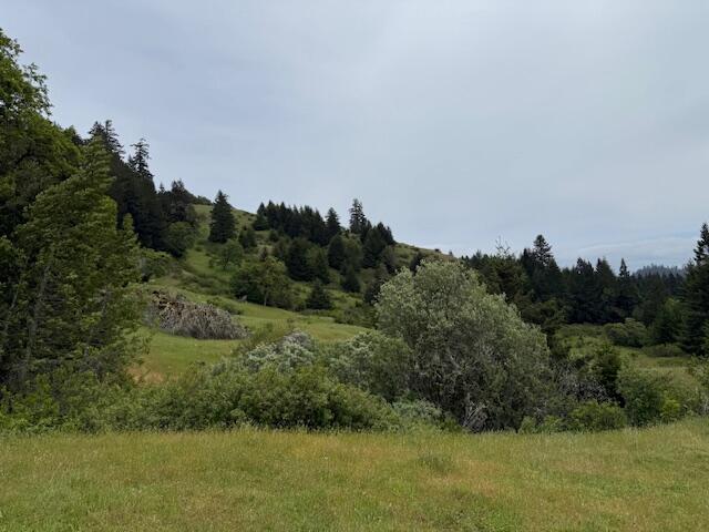 33875 Alderpoint Road