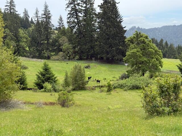 33875 Alderpoint Road