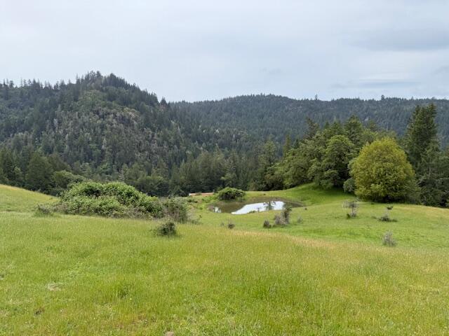 33875 Alderpoint Road