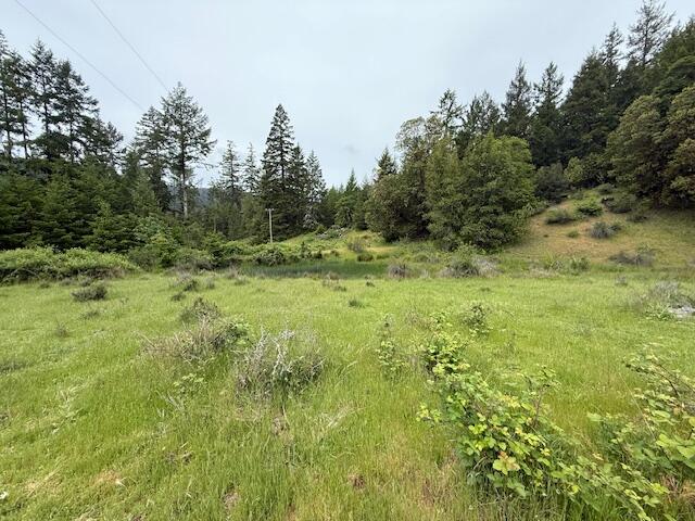 33875 Alderpoint Road
