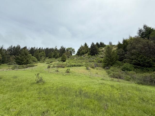 33875 Alderpoint Road
