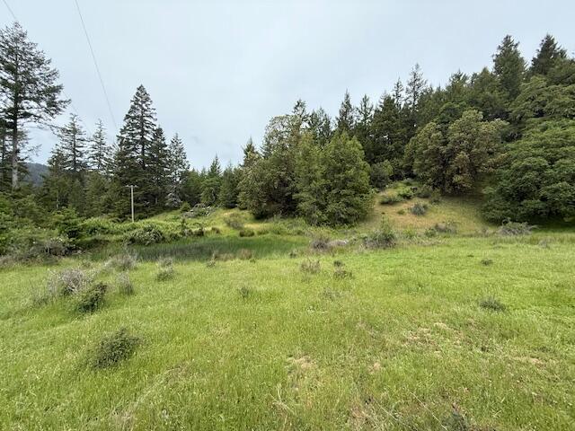 33875 Alderpoint Road