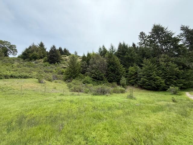 33875 Alderpoint Road