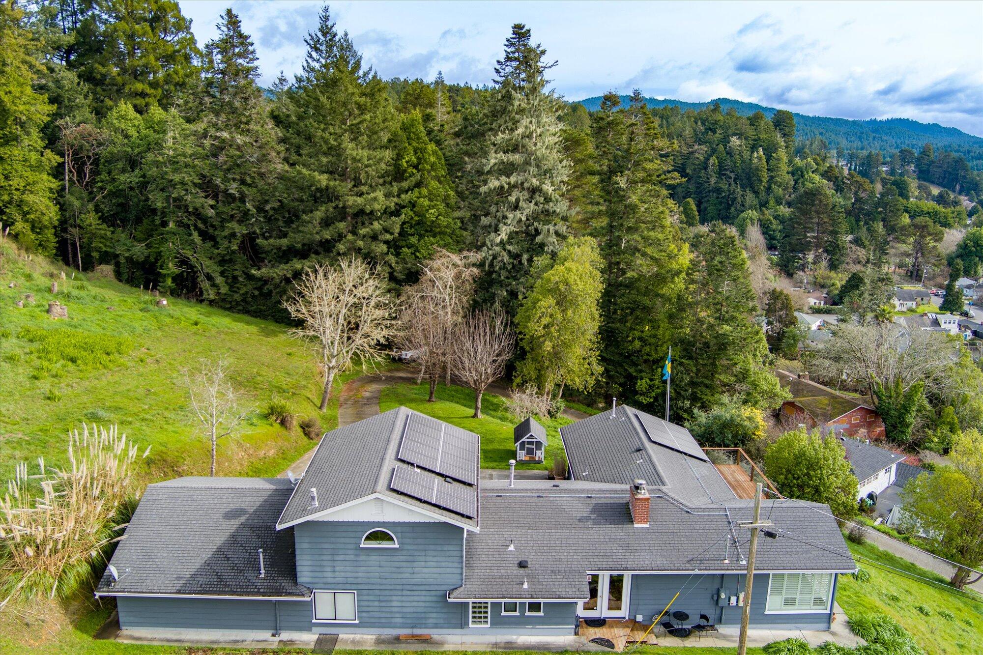 3 Alder Lane