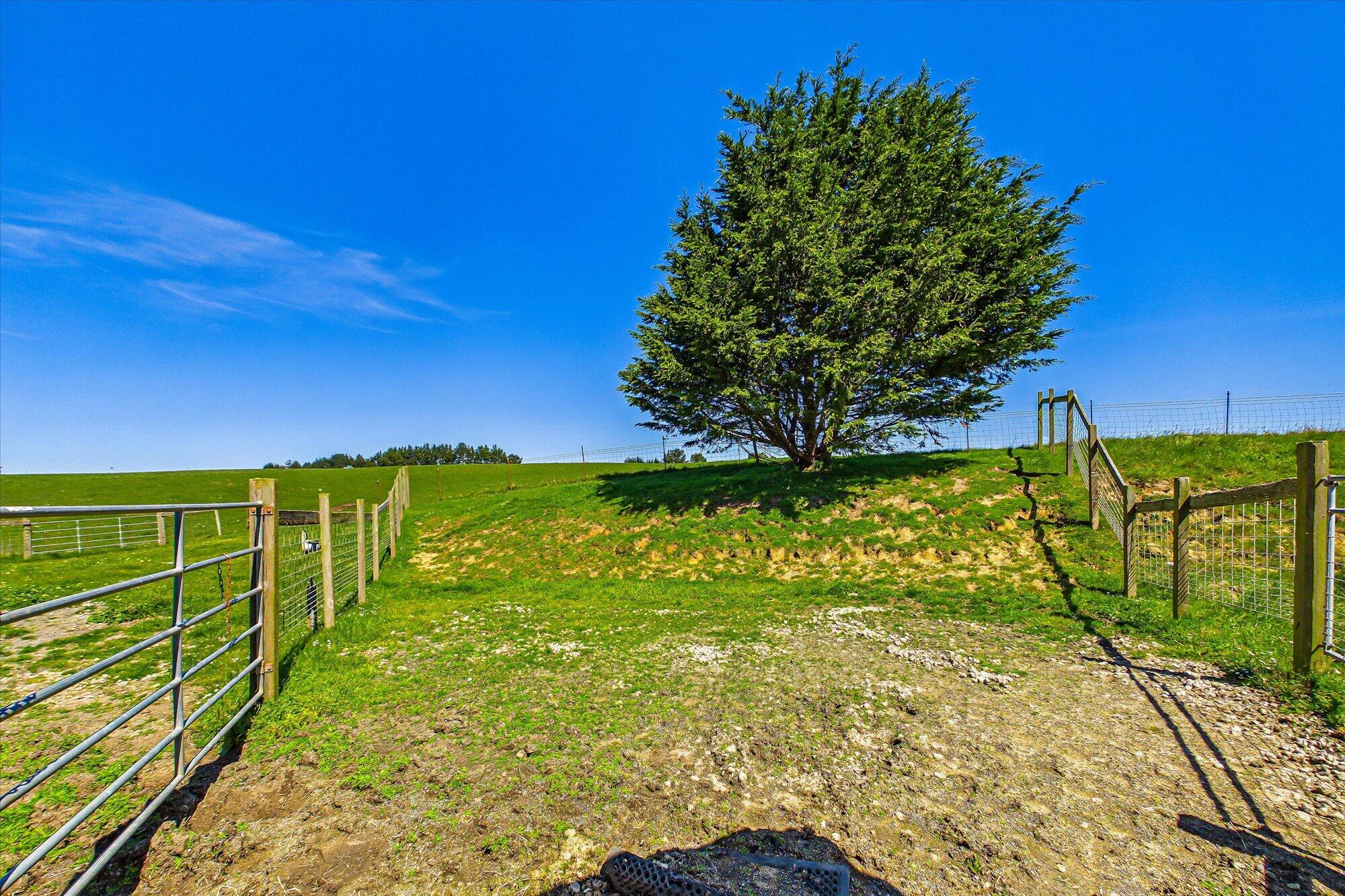255 Hillcrest Road