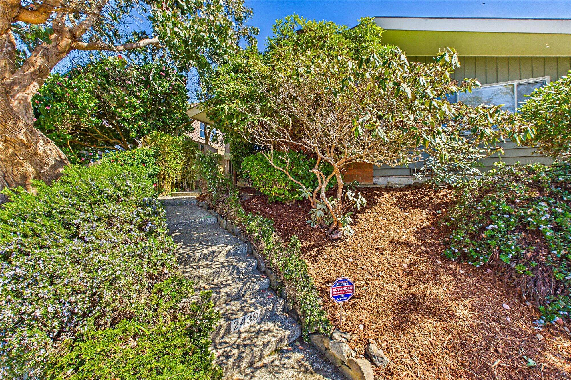 2439 D Street