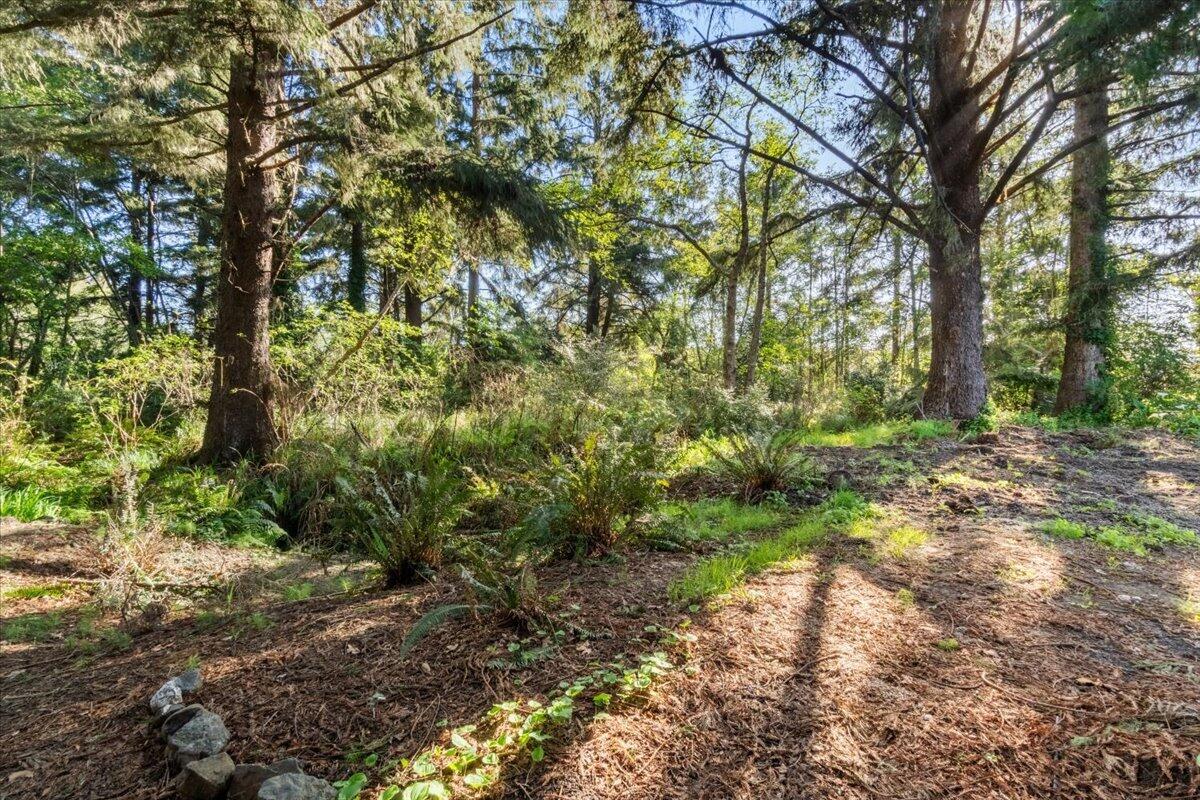 1563 Murray Road, McKinleyville