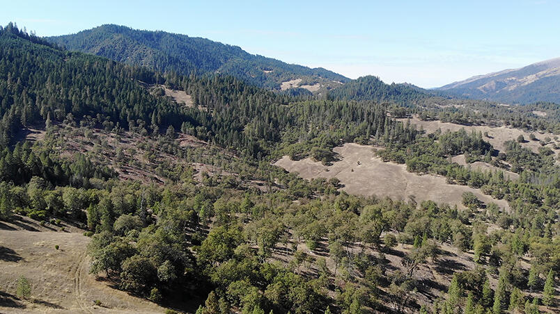 1500 Deep Hollow Road