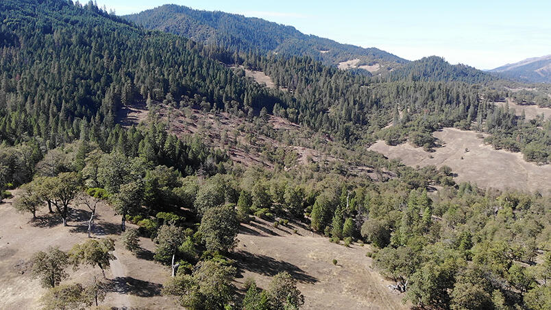 1500 Deep Hollow Road