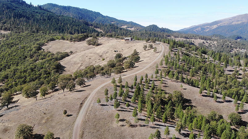 1500 Deep Hollow Road
