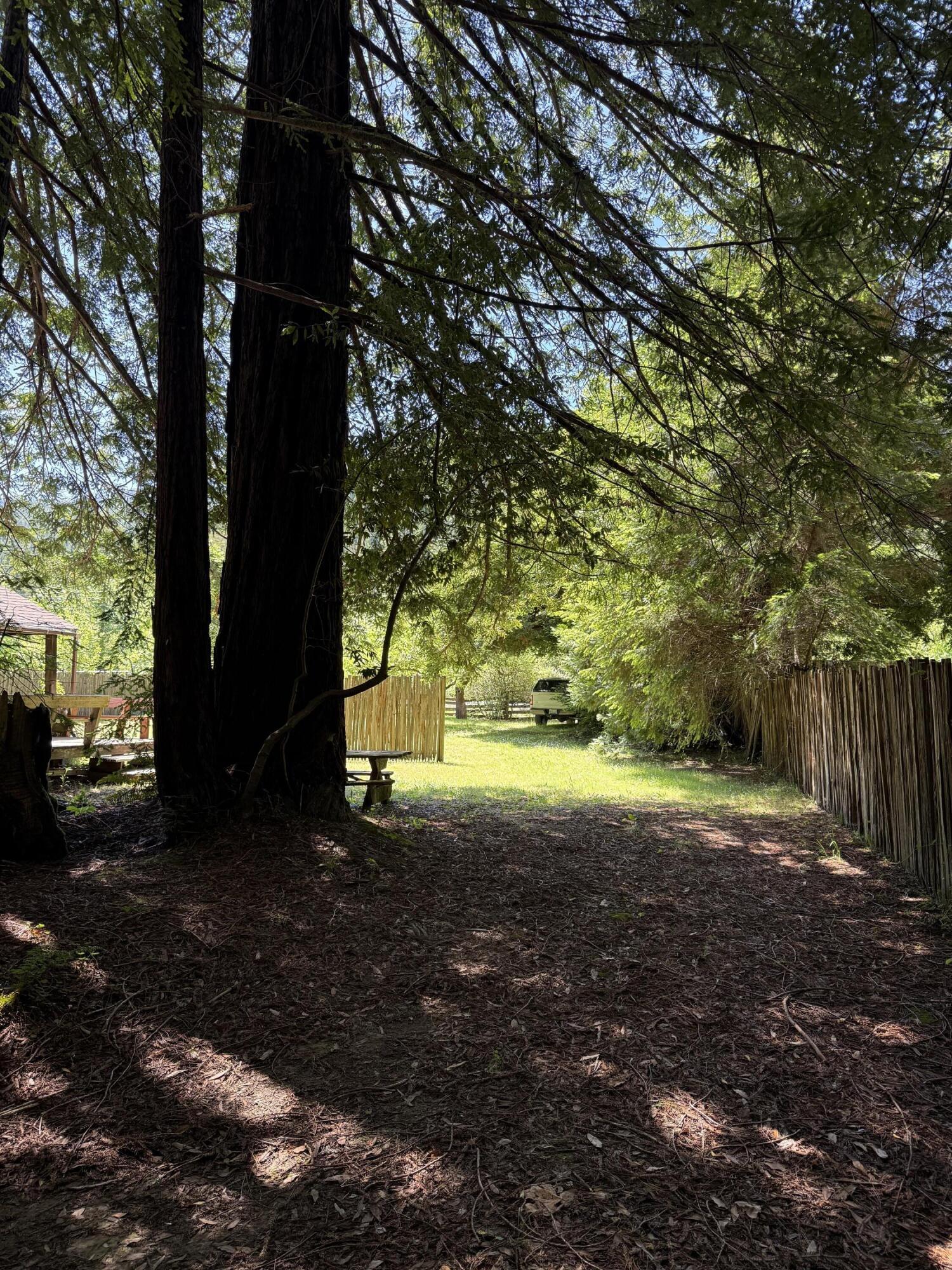19555 St Hwy 36