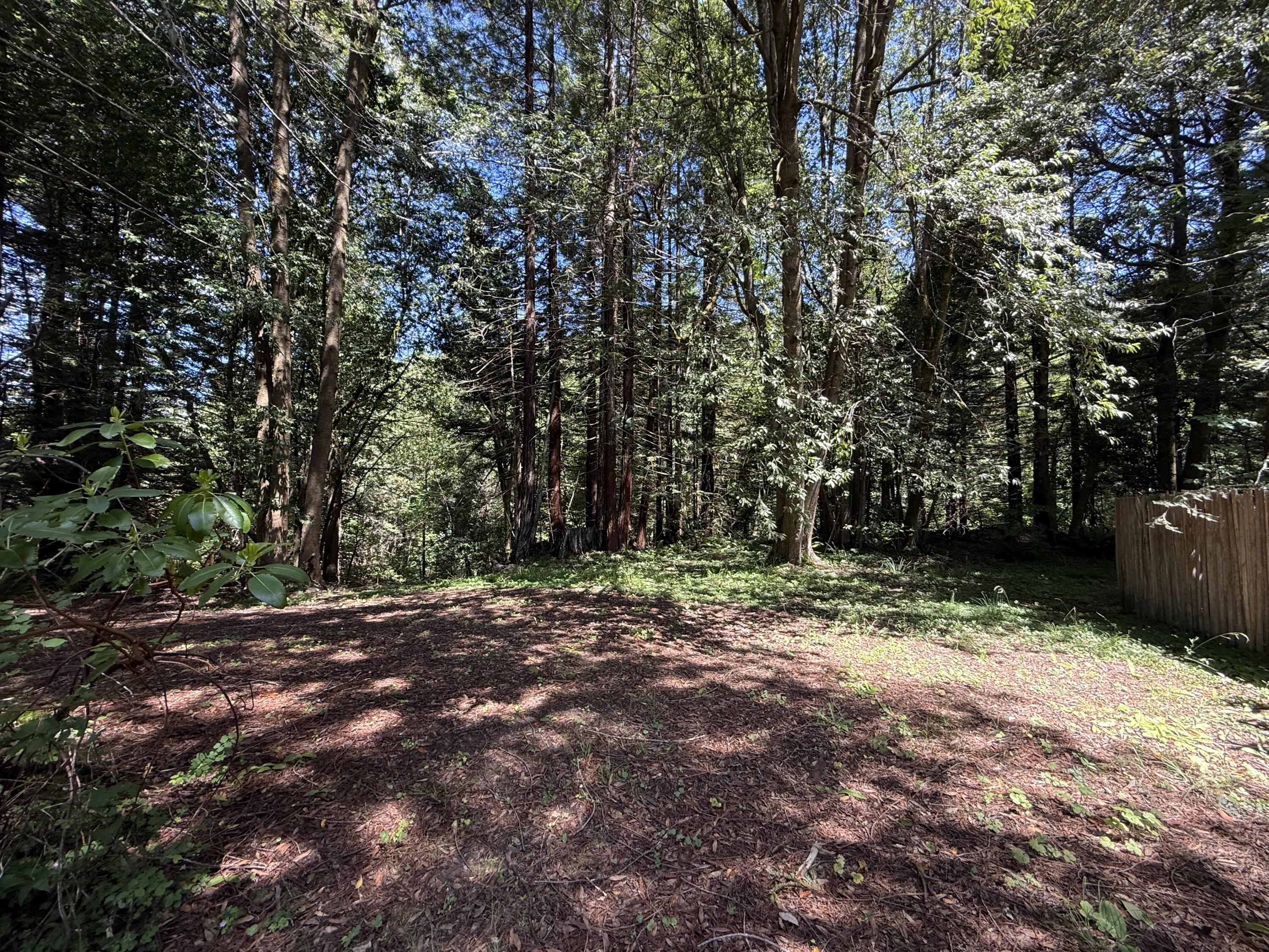 19555 St Hwy 36