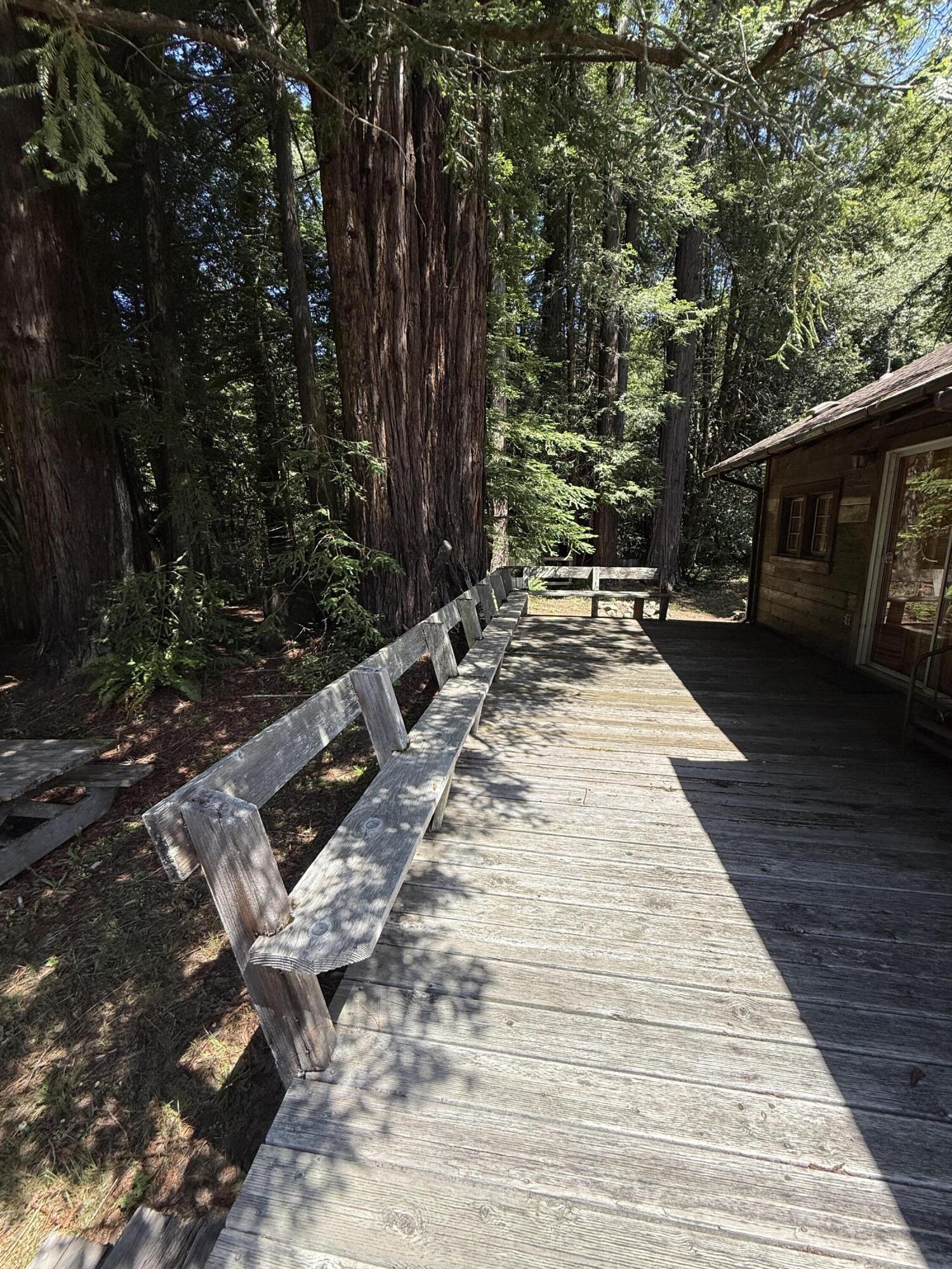 19555 St Hwy 36