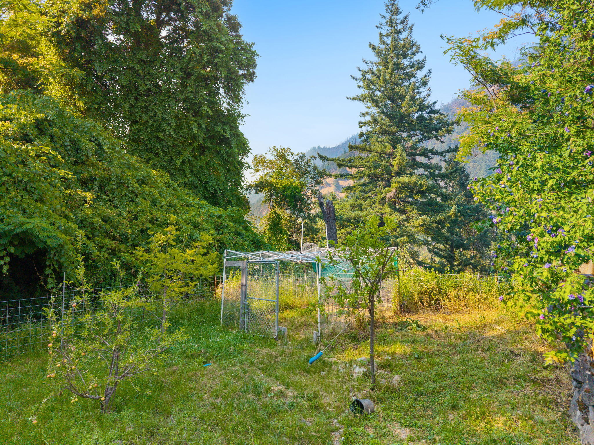 41735 St Hwy 299