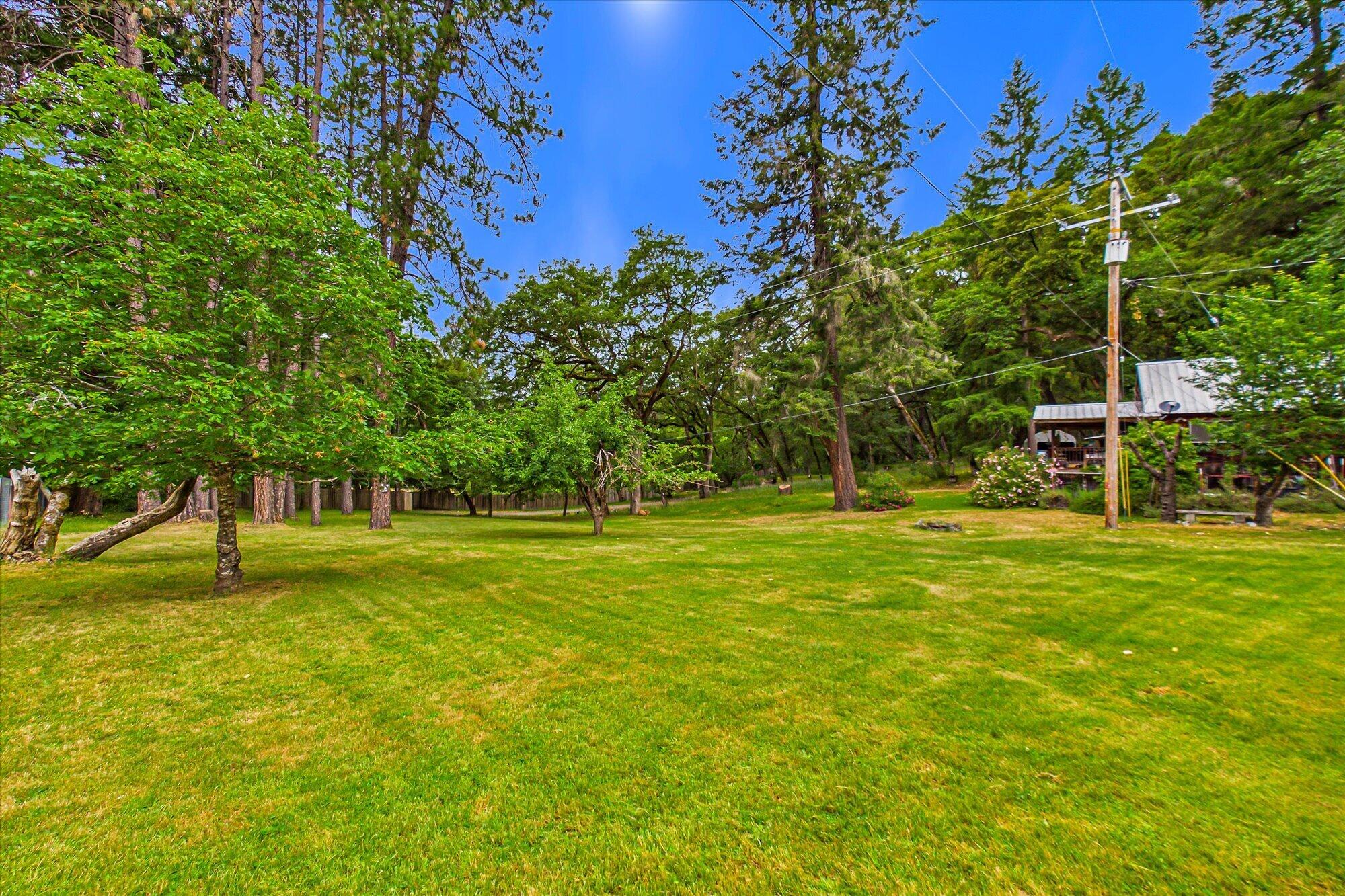 91 Deer Lane
