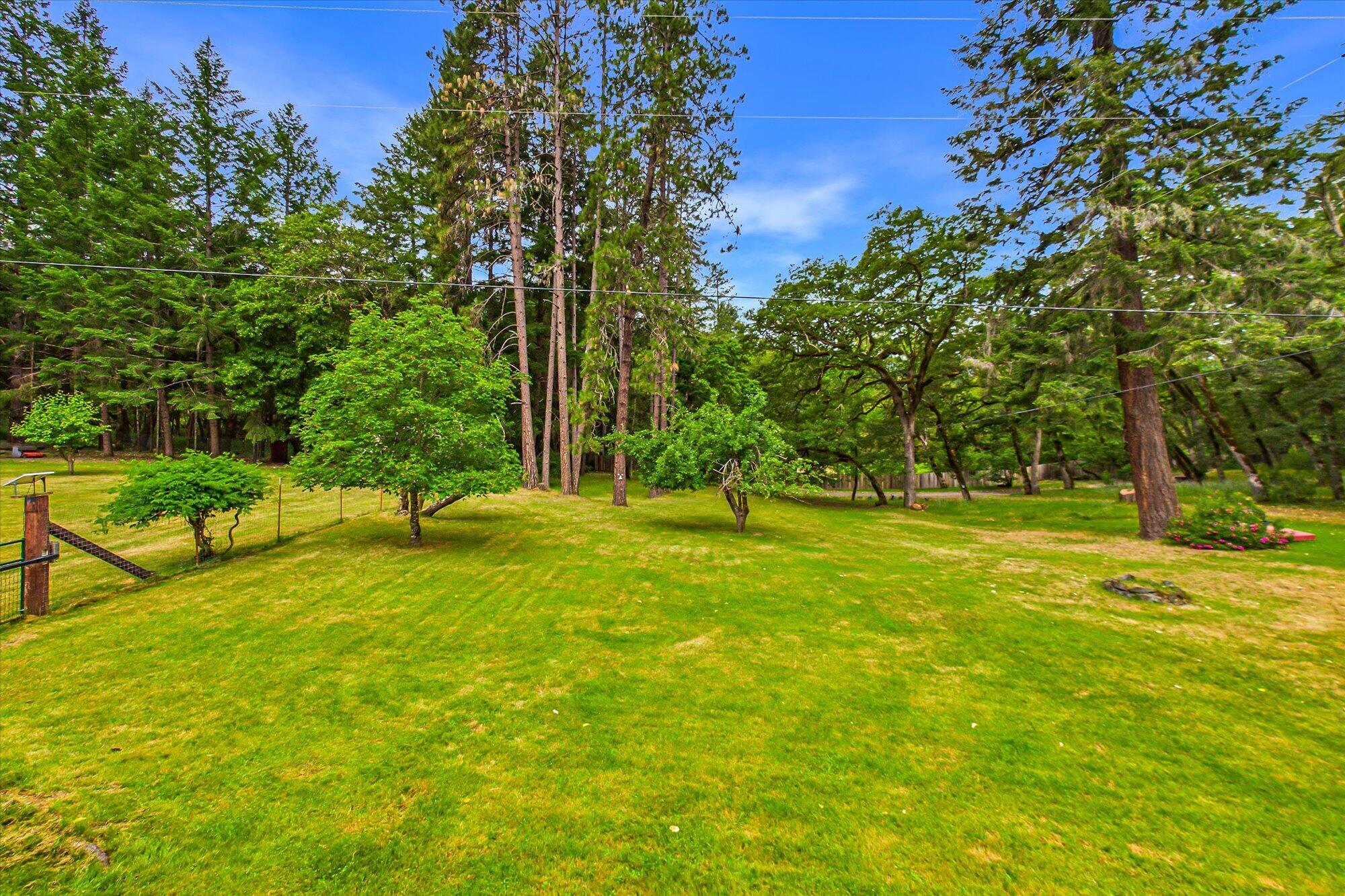 91 Deer Lane