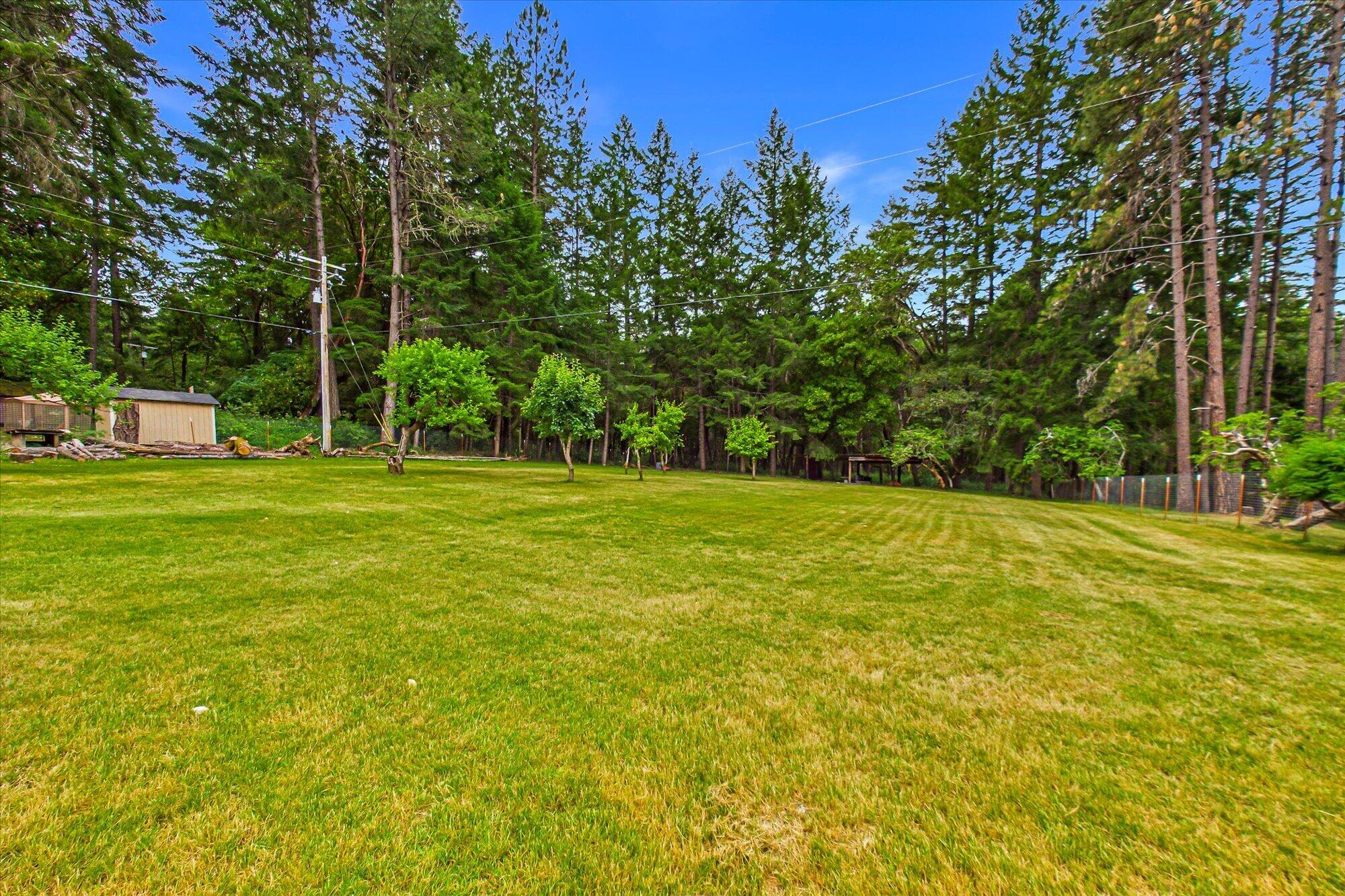 91 Deer Lane
