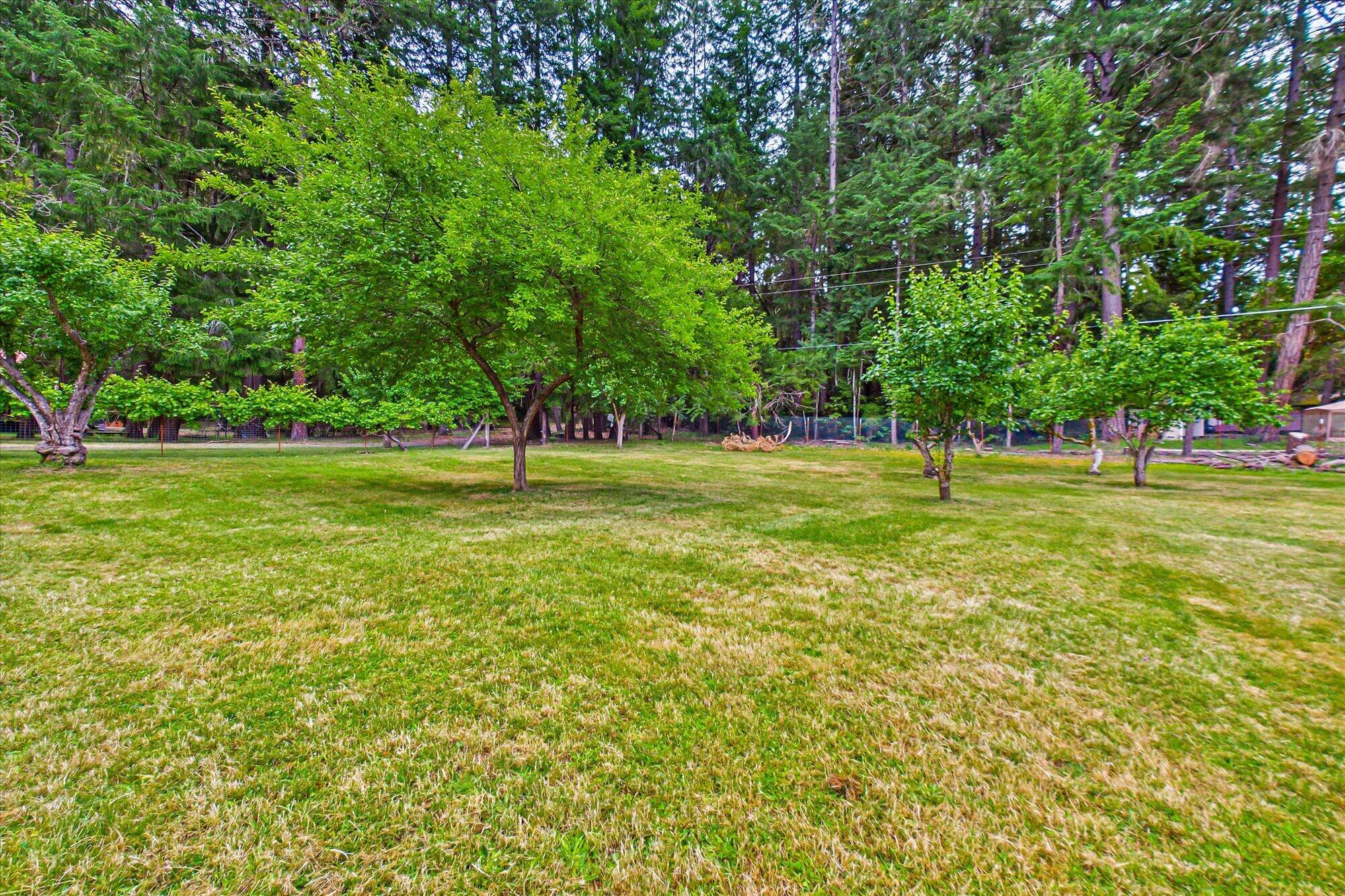 91 Deer Lane