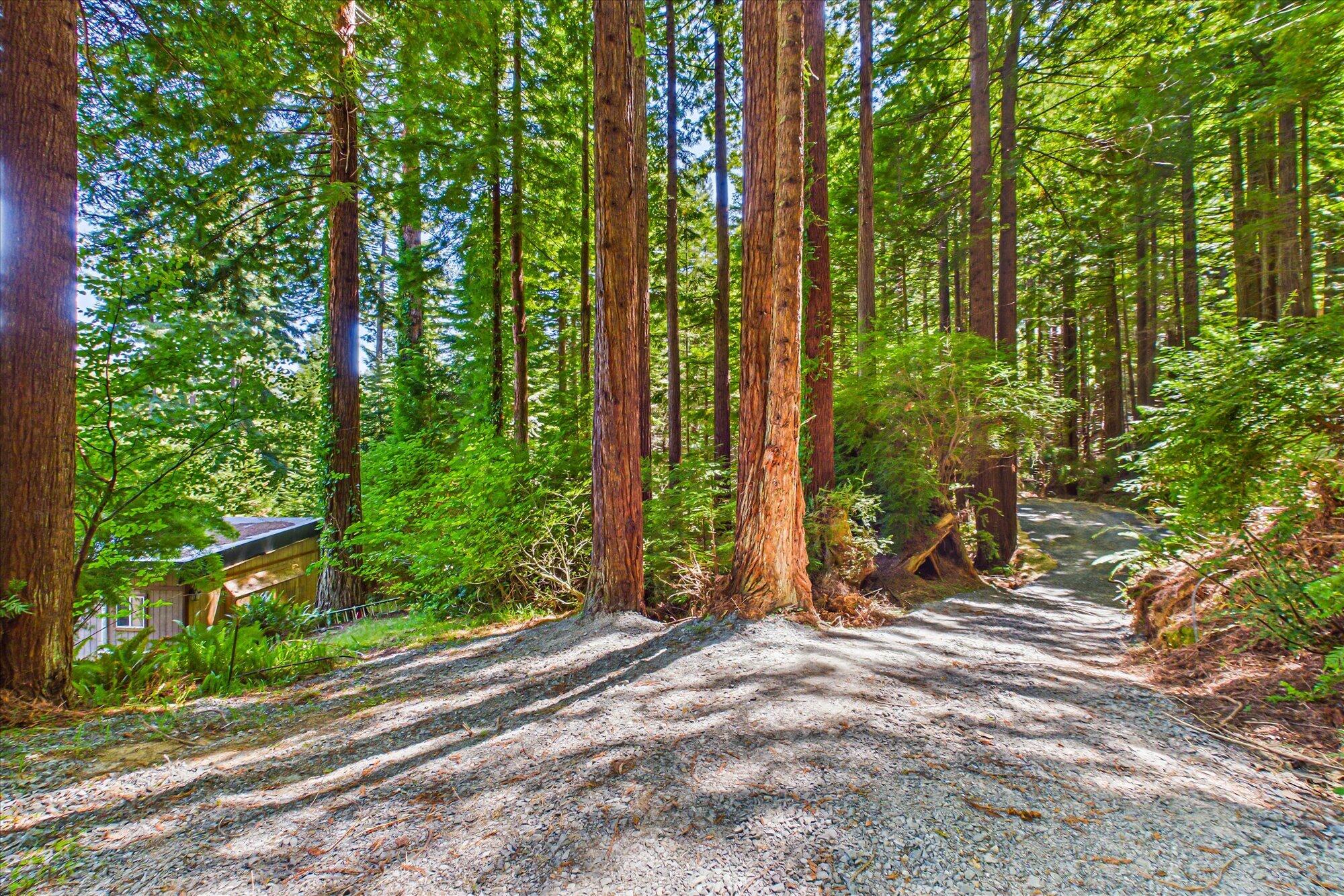 3167 Pigeon Point Road