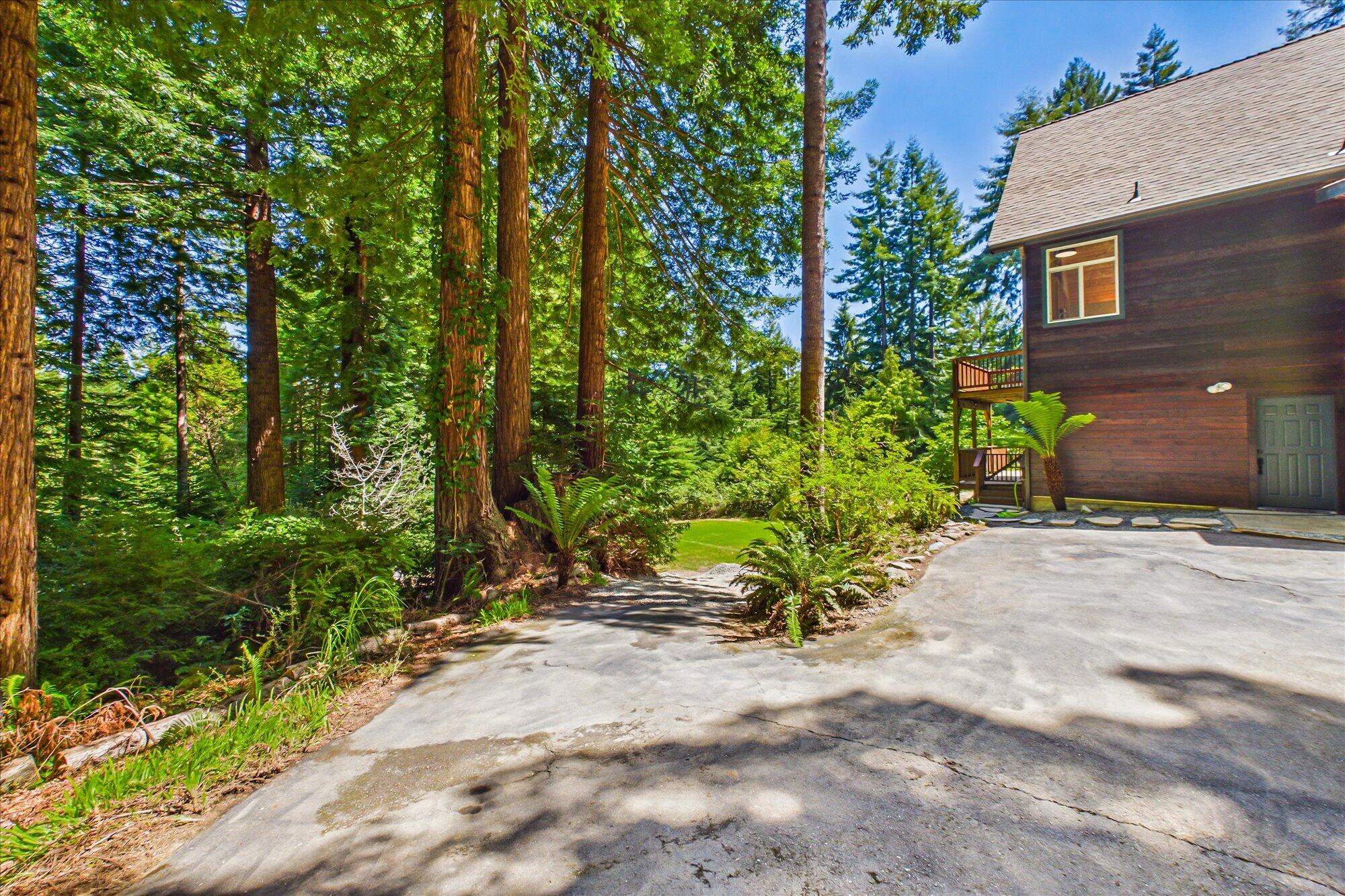 3167 Pigeon Point Road