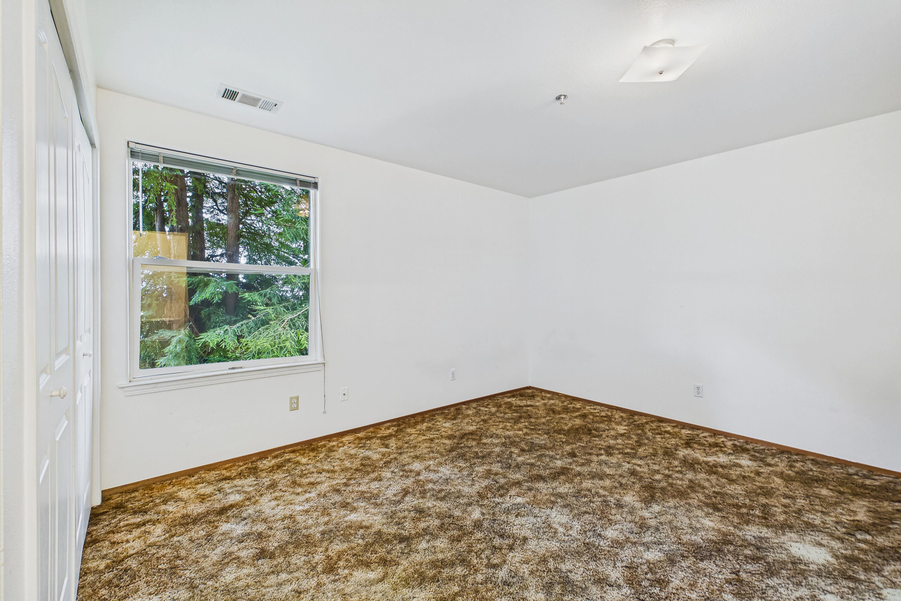 377 Evergreen Avenue